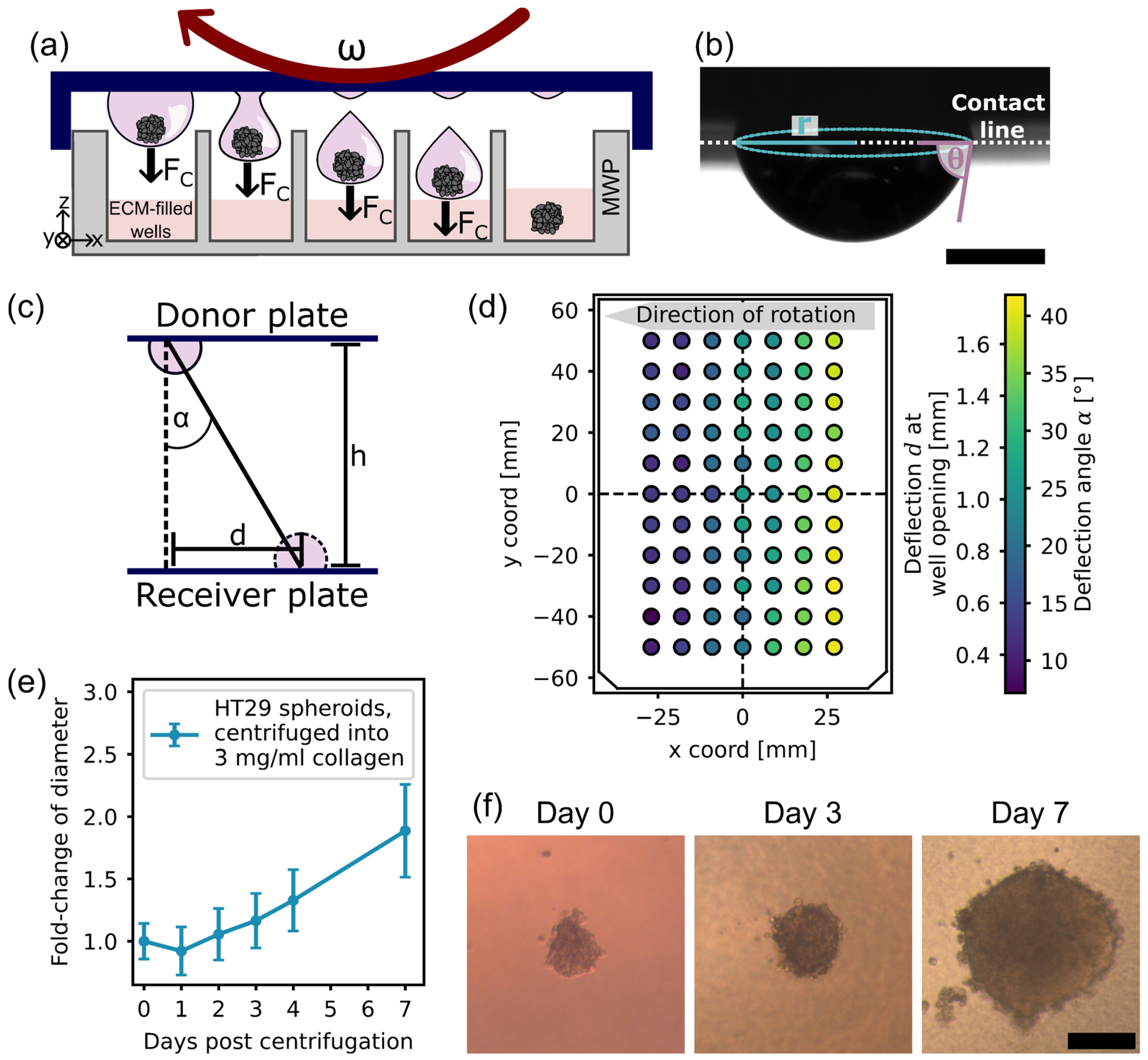 Micromachines 15 00231 g003