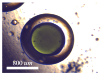 Micromachines 15 00239 i002