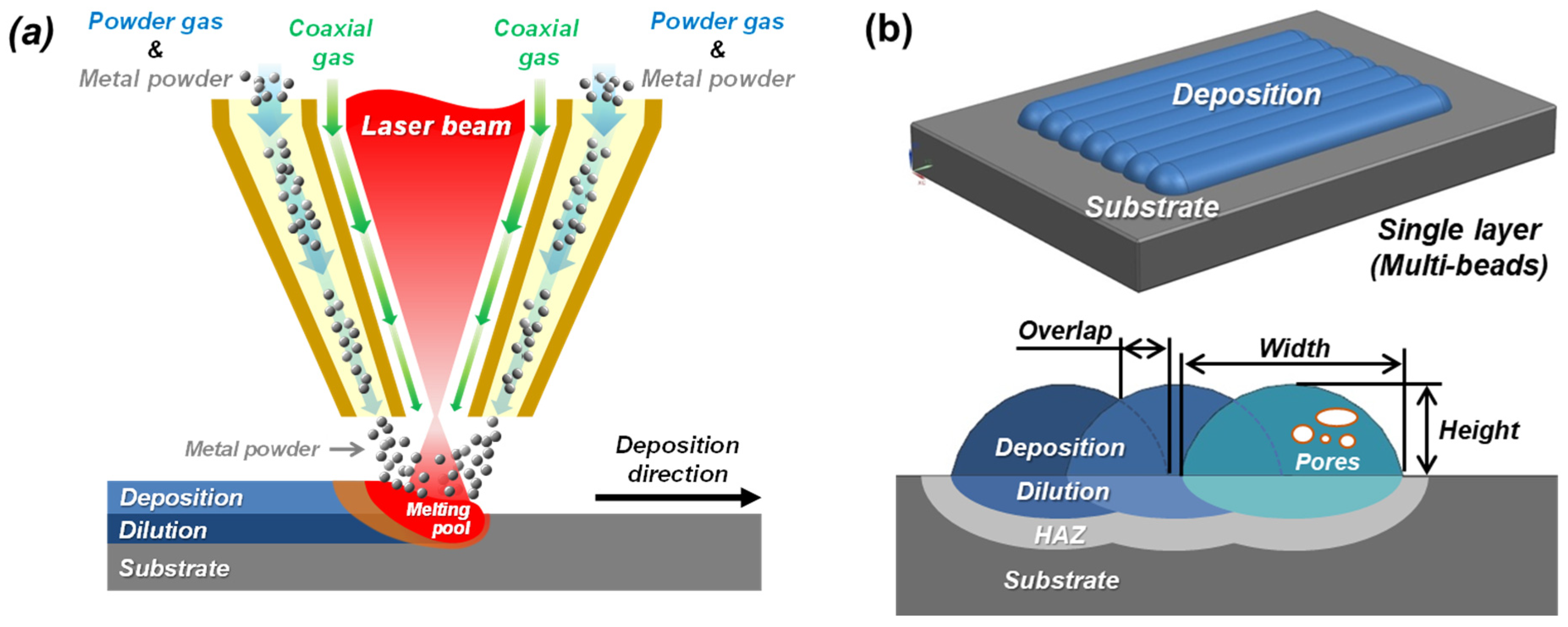 Micromachines 15 00243 g001