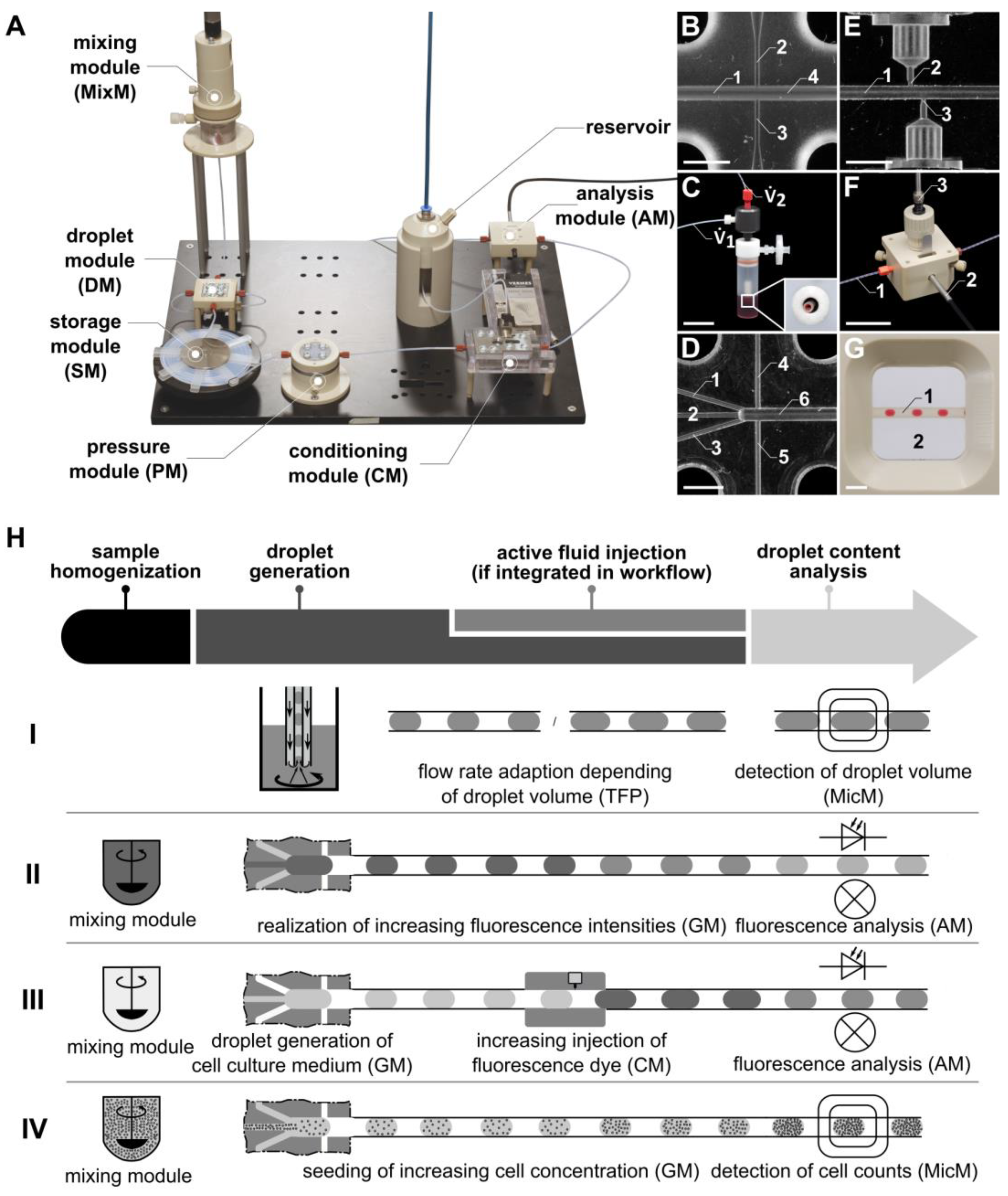 Micromachines 15 00250 g001
