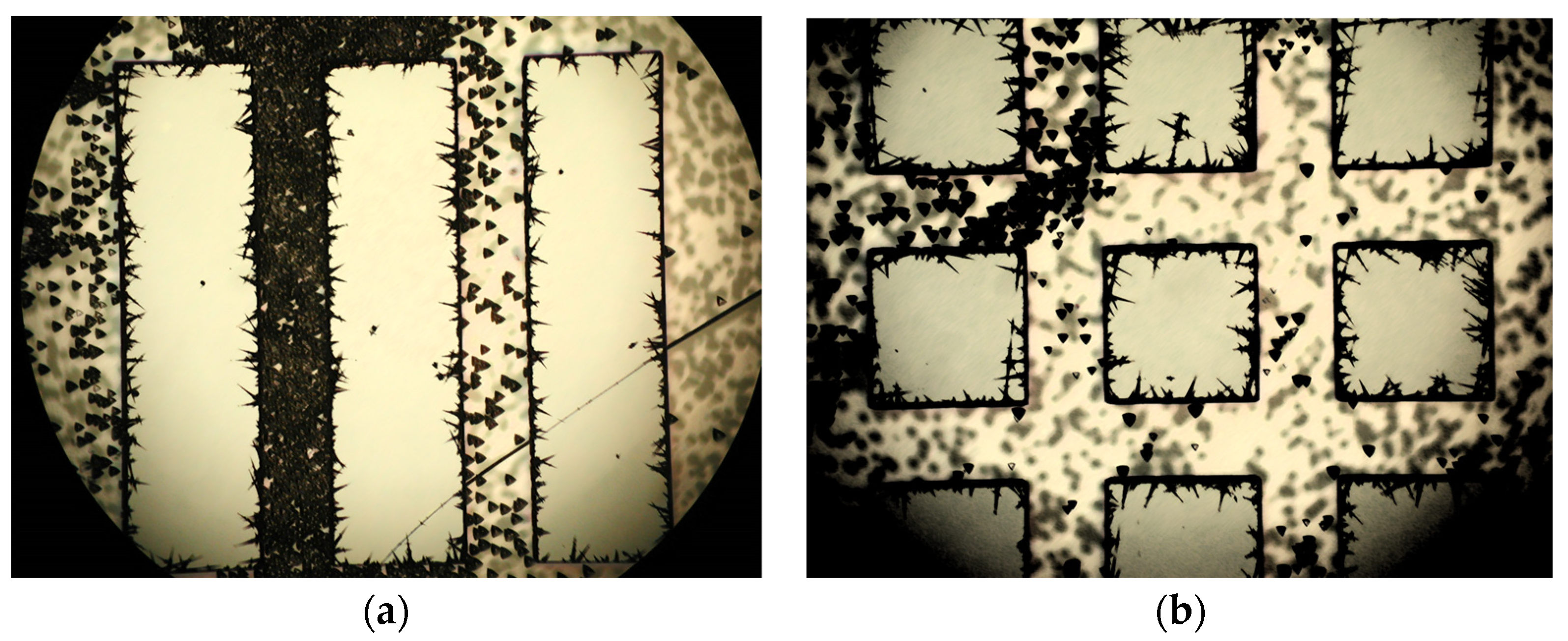 Micromachines 15 00259 g009