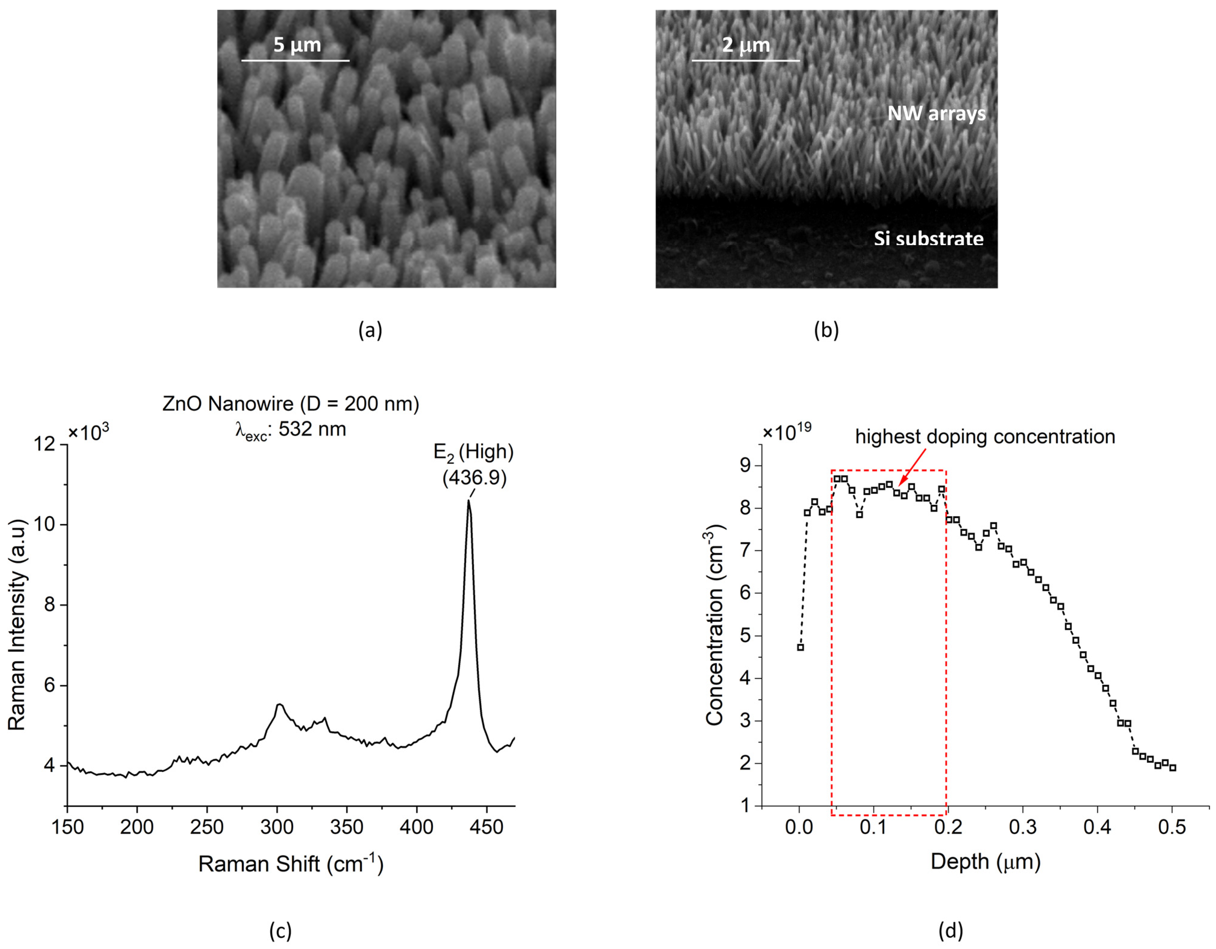 Micromachines 15 00261 g002