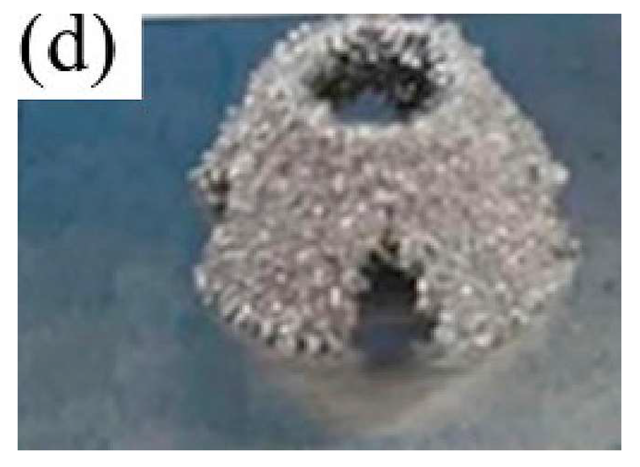 Micromachines 15 00302 g014b