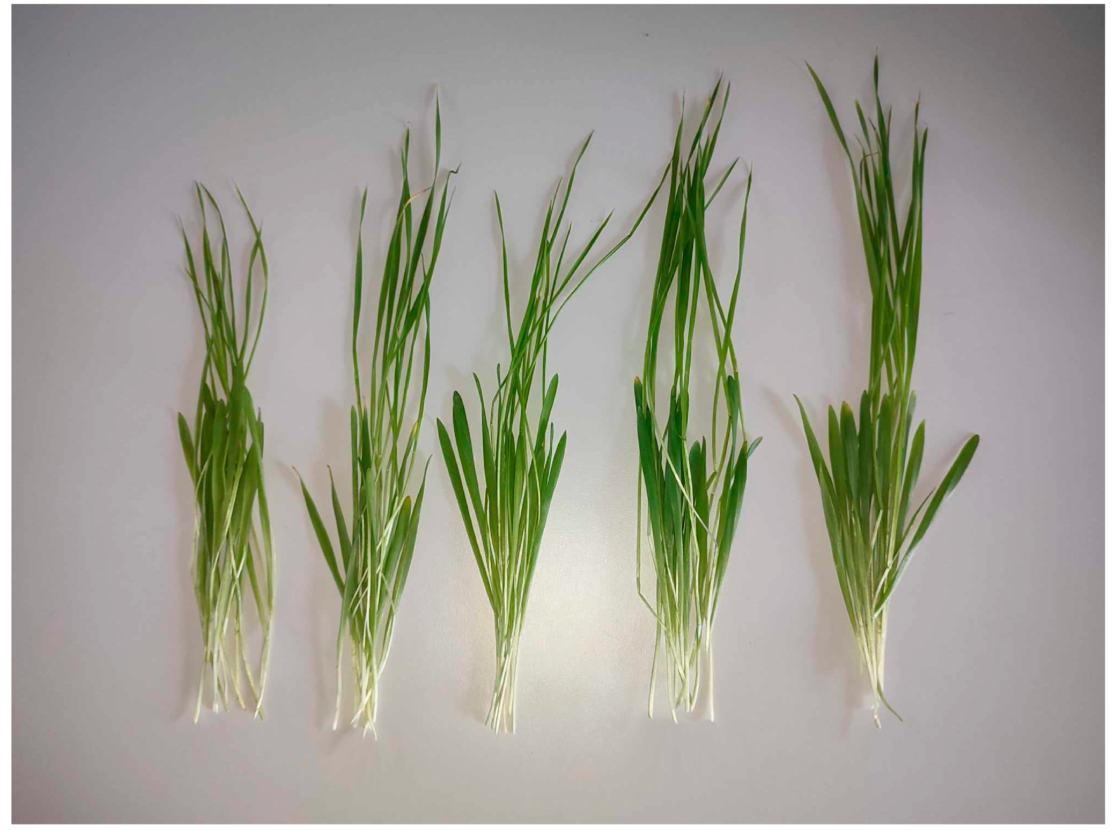 Micromachines 15 00311 g002