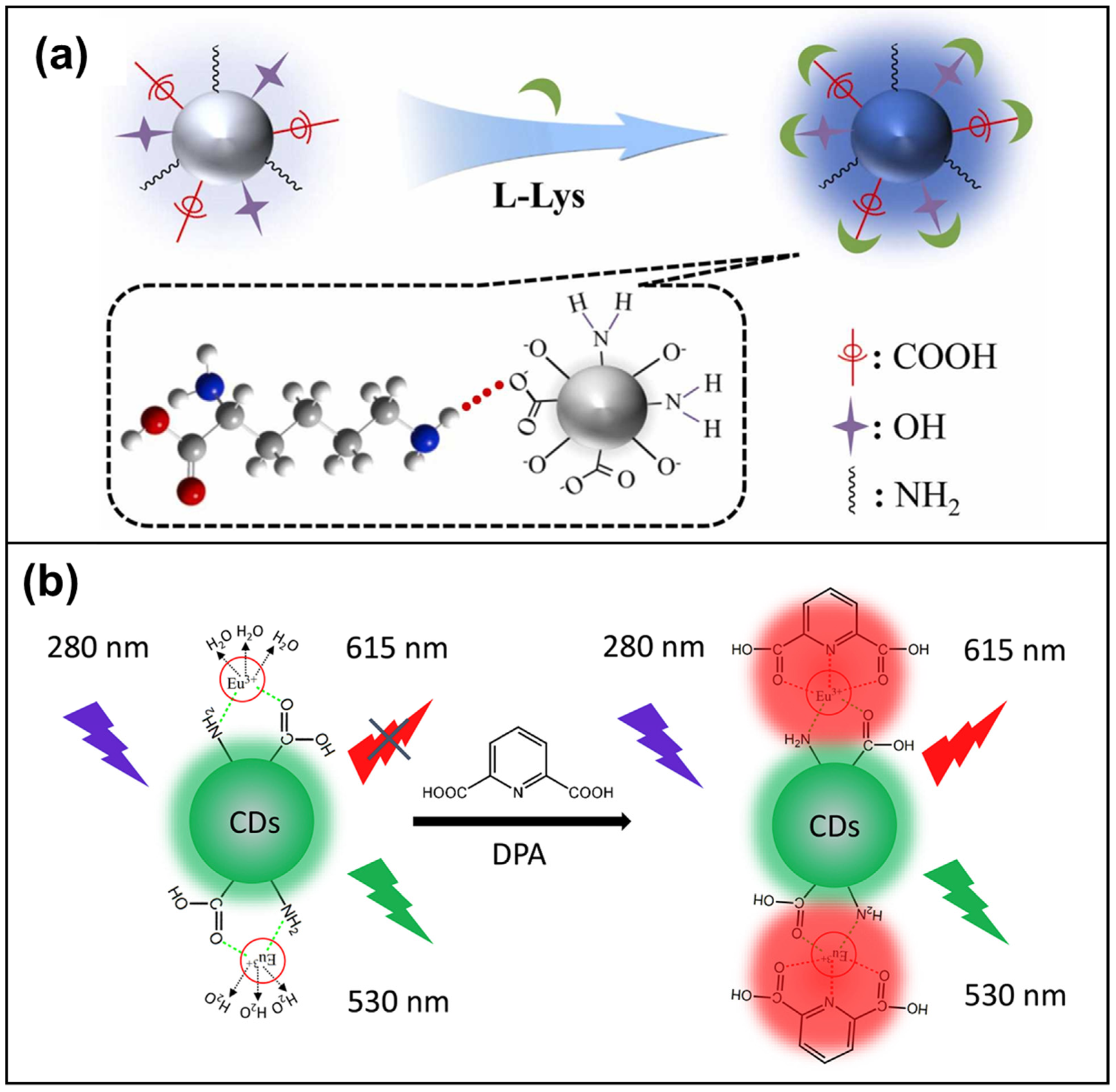 Micromachines 15 00331 g001