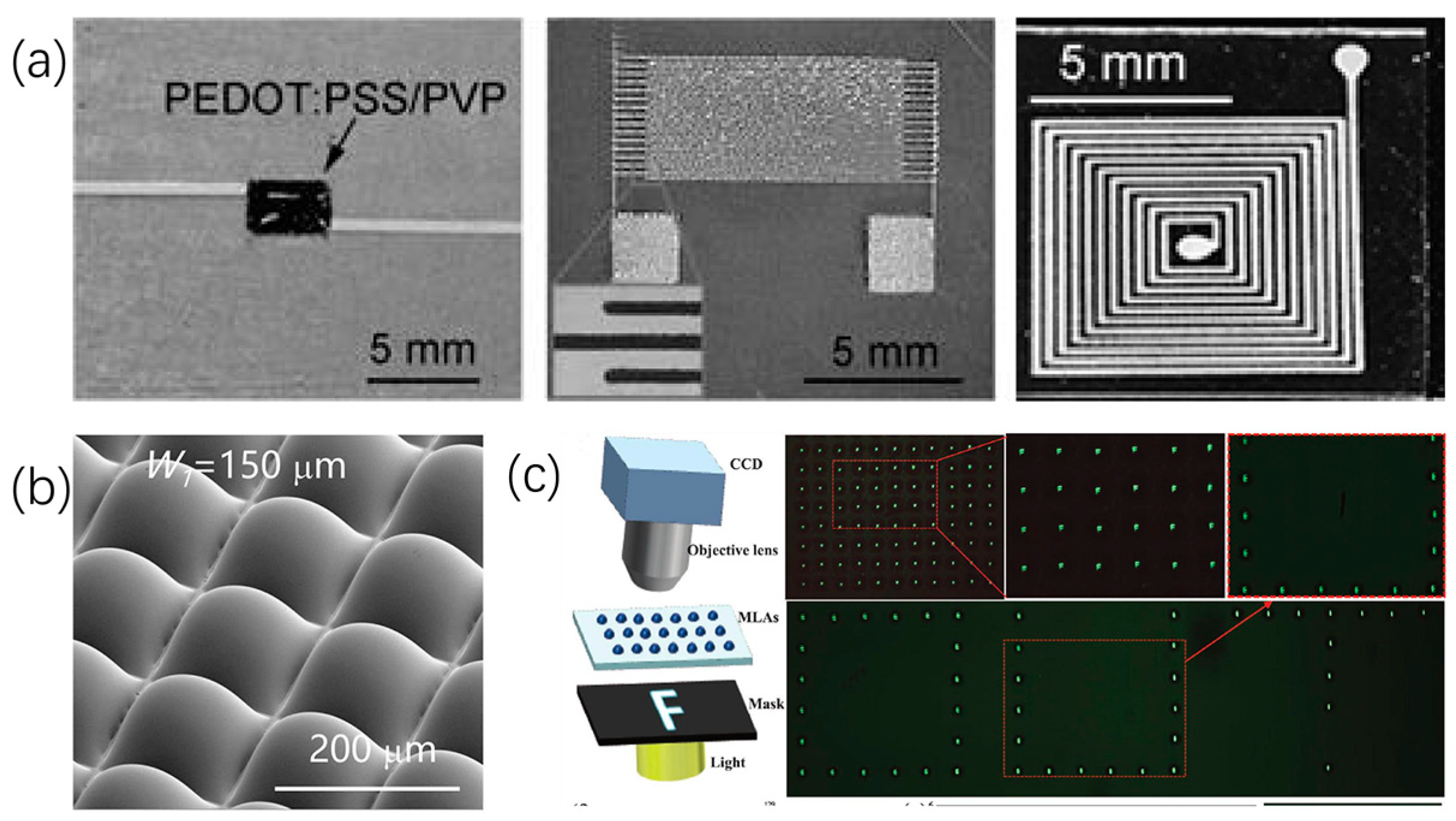 Micromachines 15 00333 g009