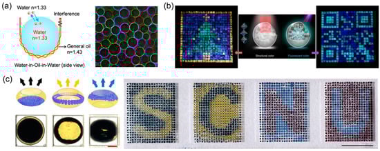 Micromachines 15 00337 g014