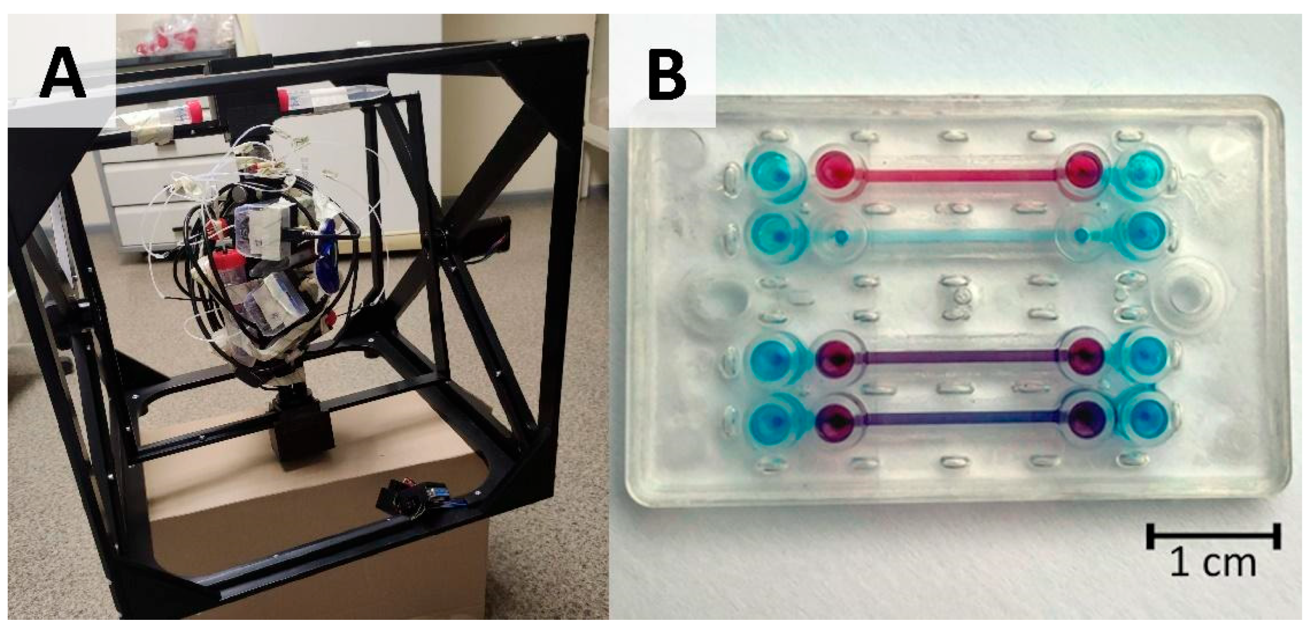 Development of Organ-on-a-Chip System with Continuous Flow in Simulated ...
