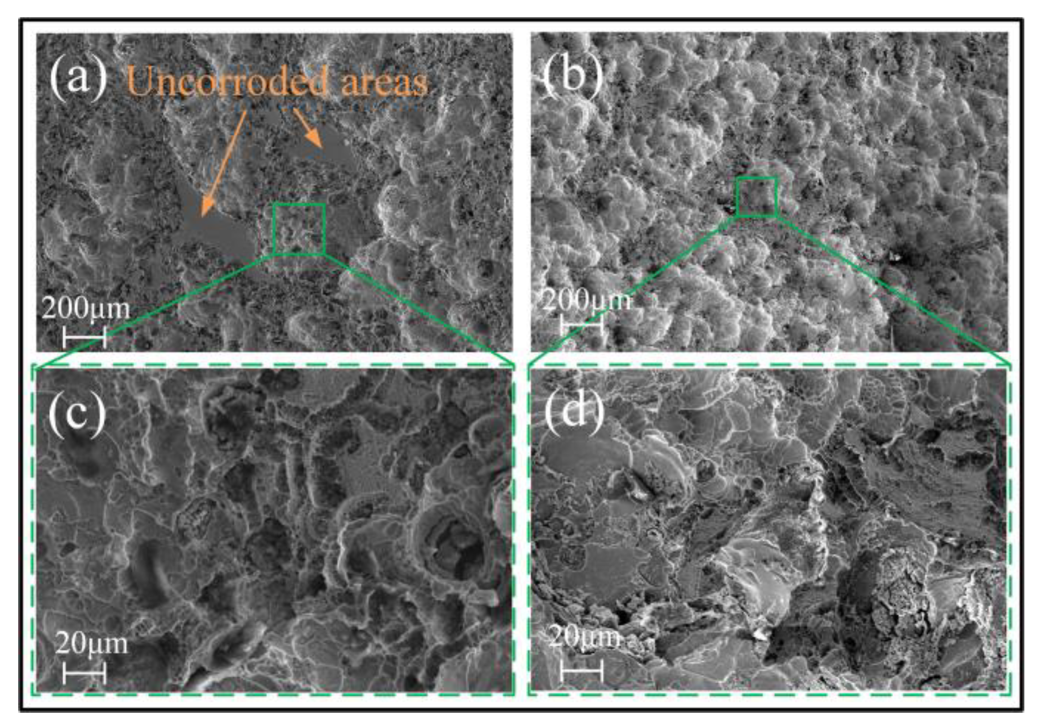 Micromachines 15 00375 g008