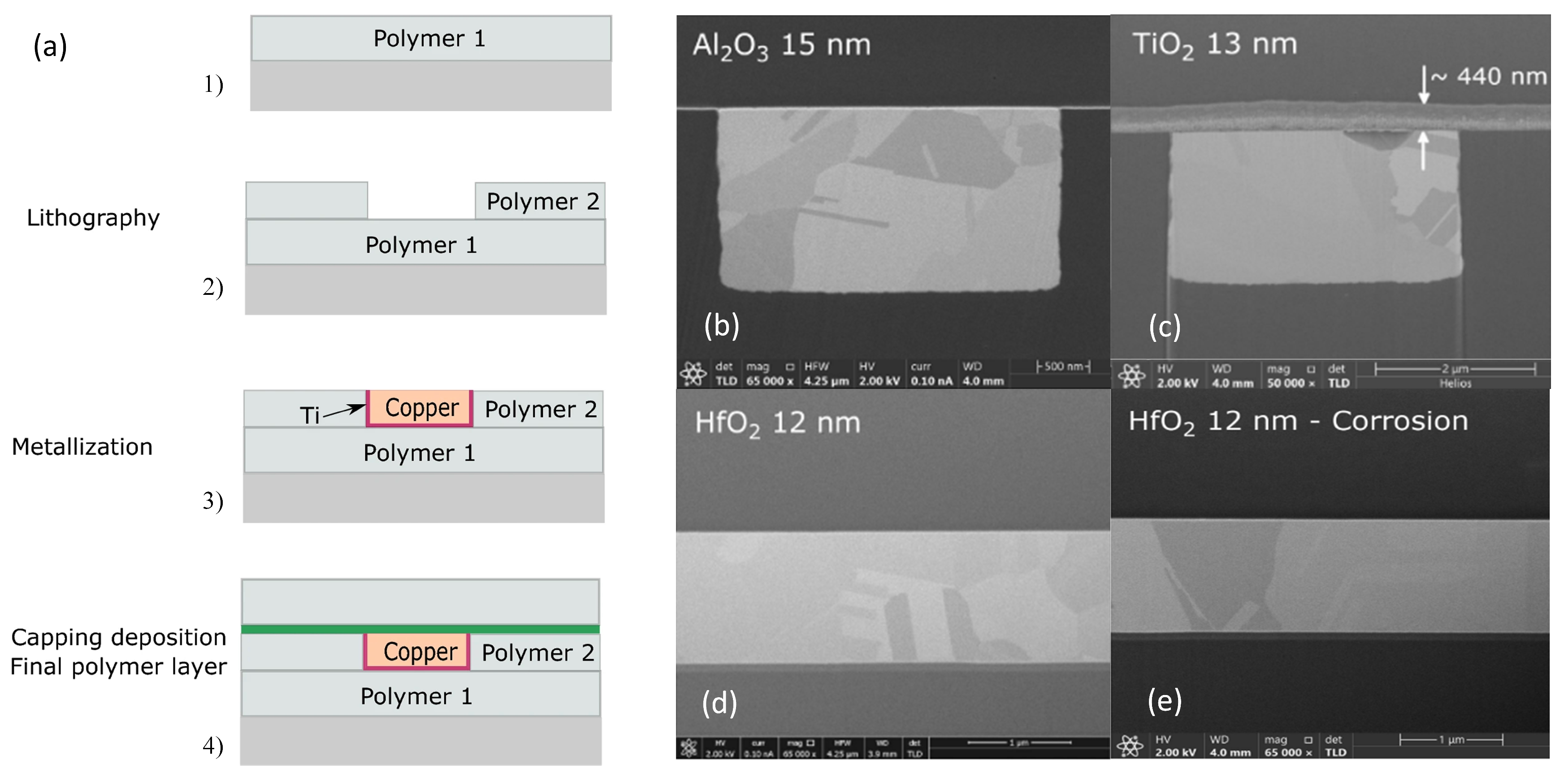 Micromachines 15 00376 g012