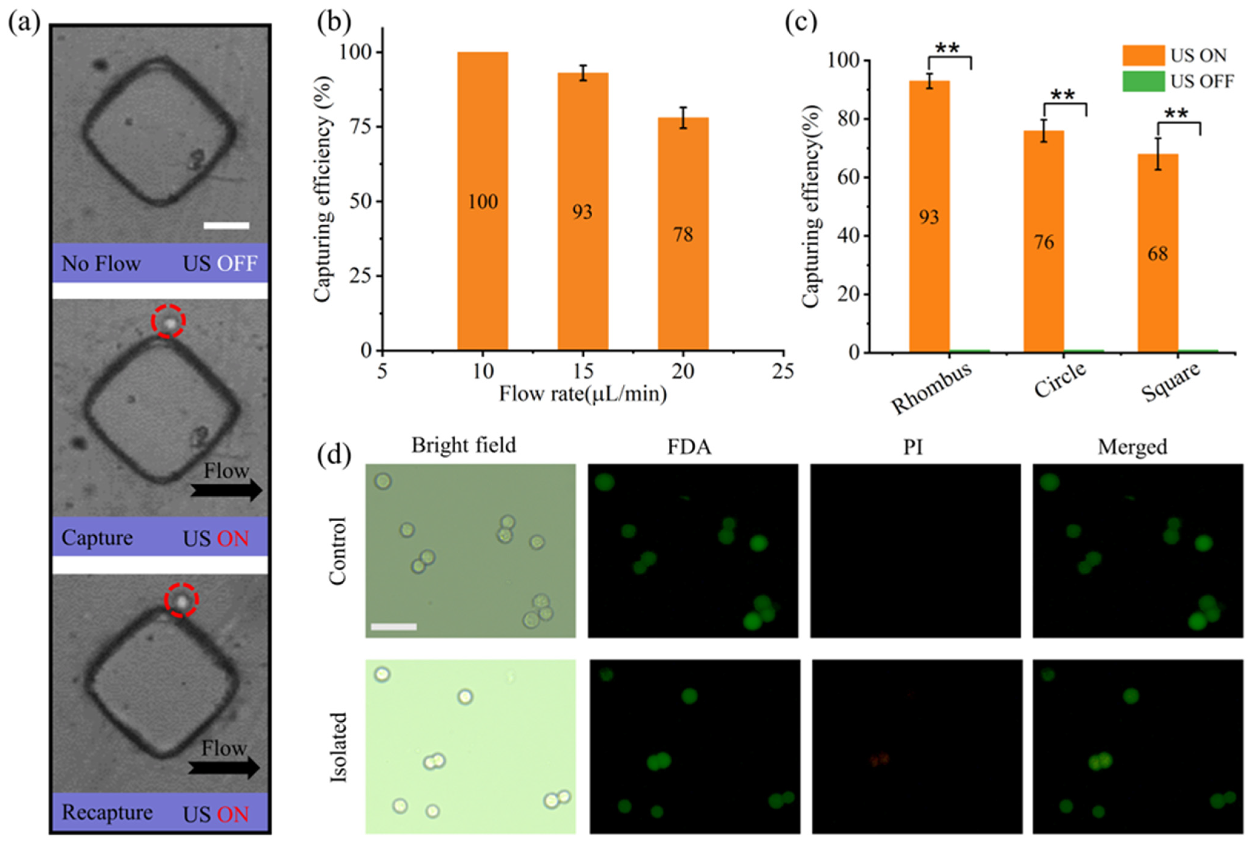 Micromachines 15 00421 g007