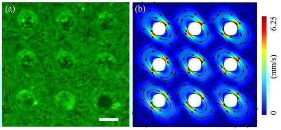 Micromachines 15 00421 g0a1