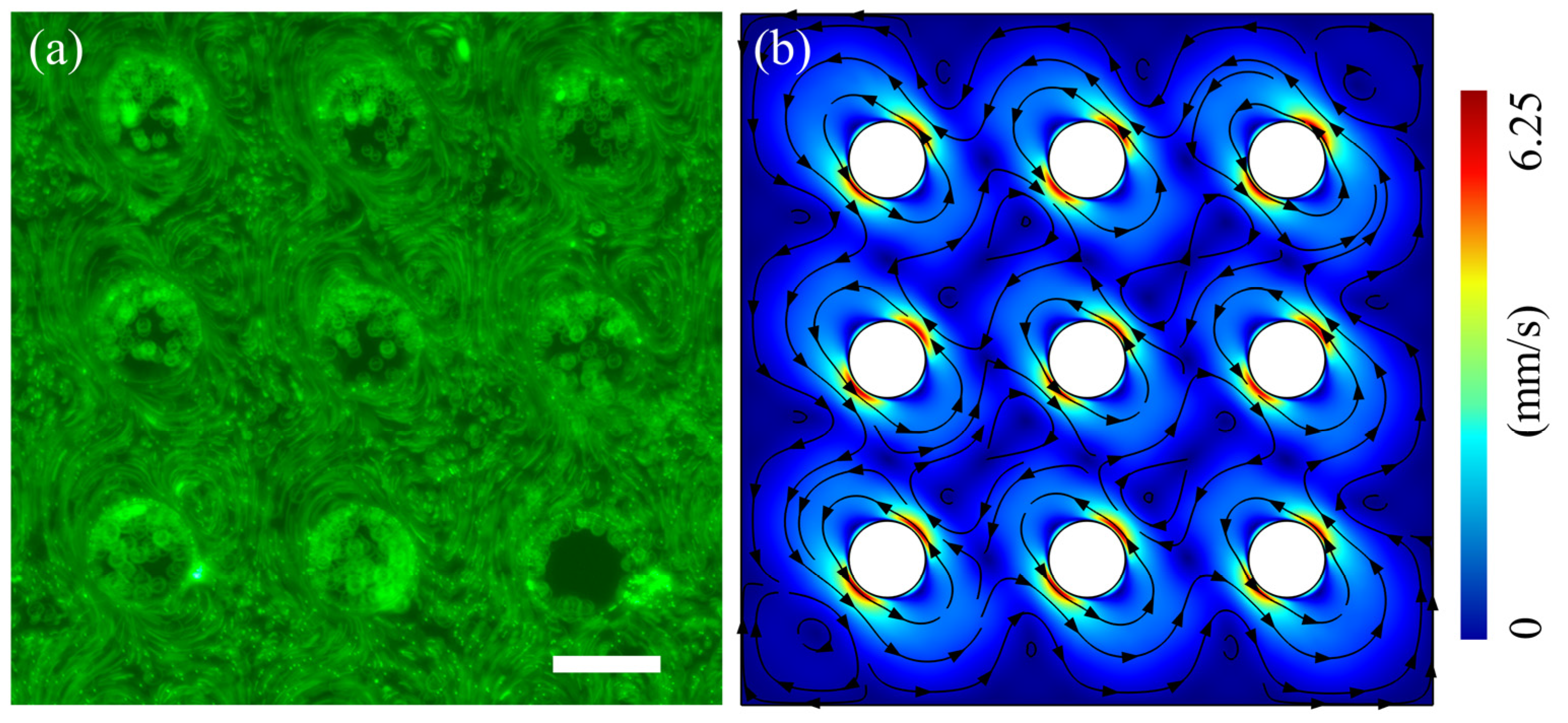 Micromachines 15 00421 g0a1