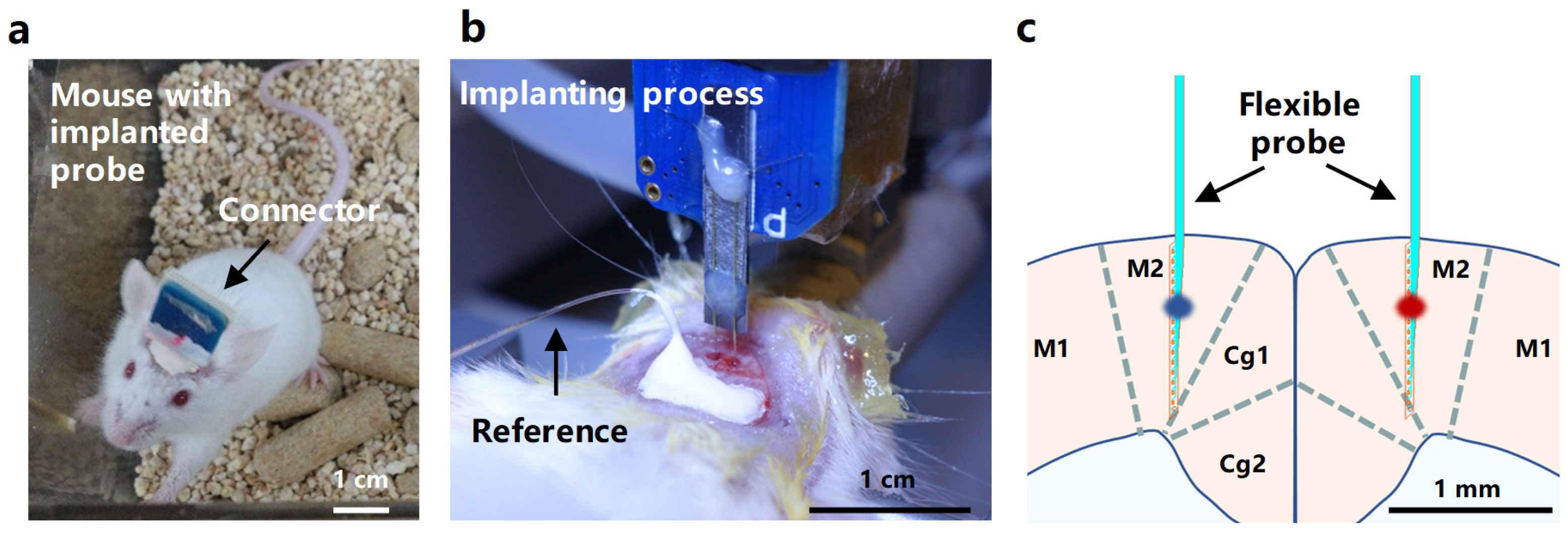 Micromachines 15 00447 g010
