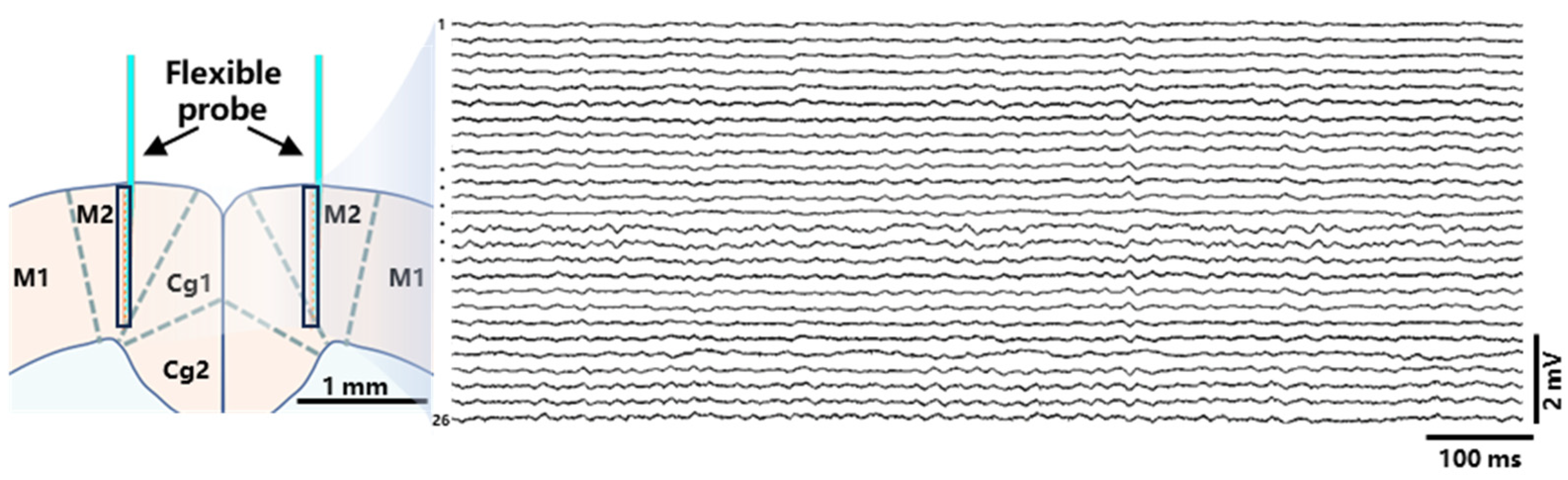 Micromachines 15 00447 g011