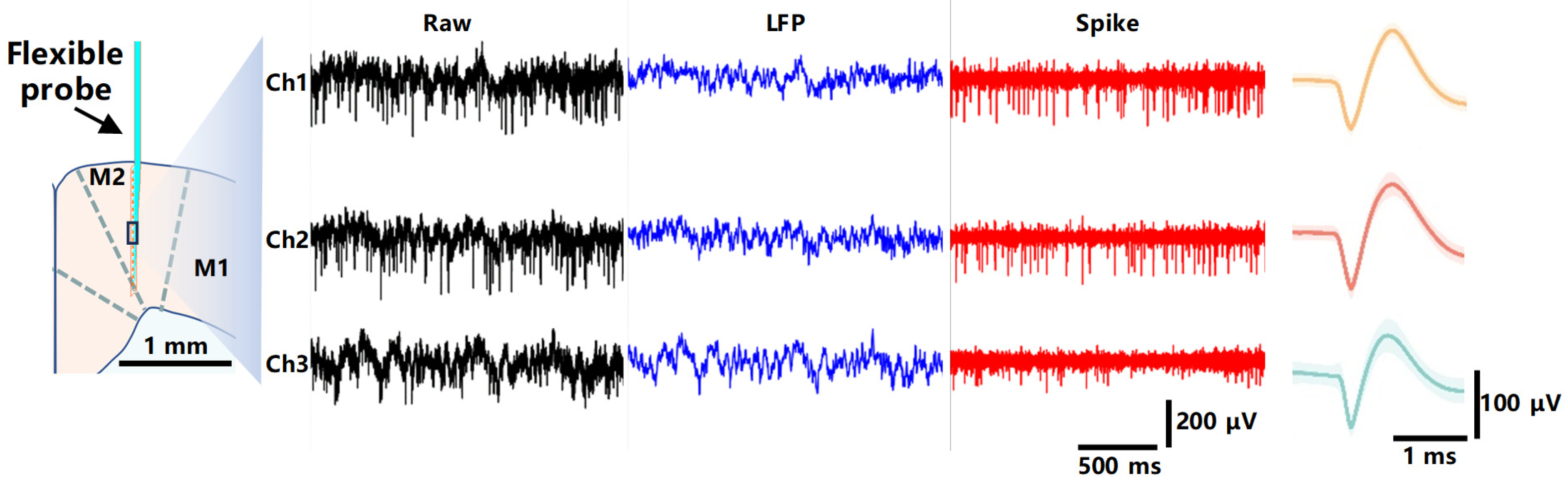 Micromachines 15 00447 g012