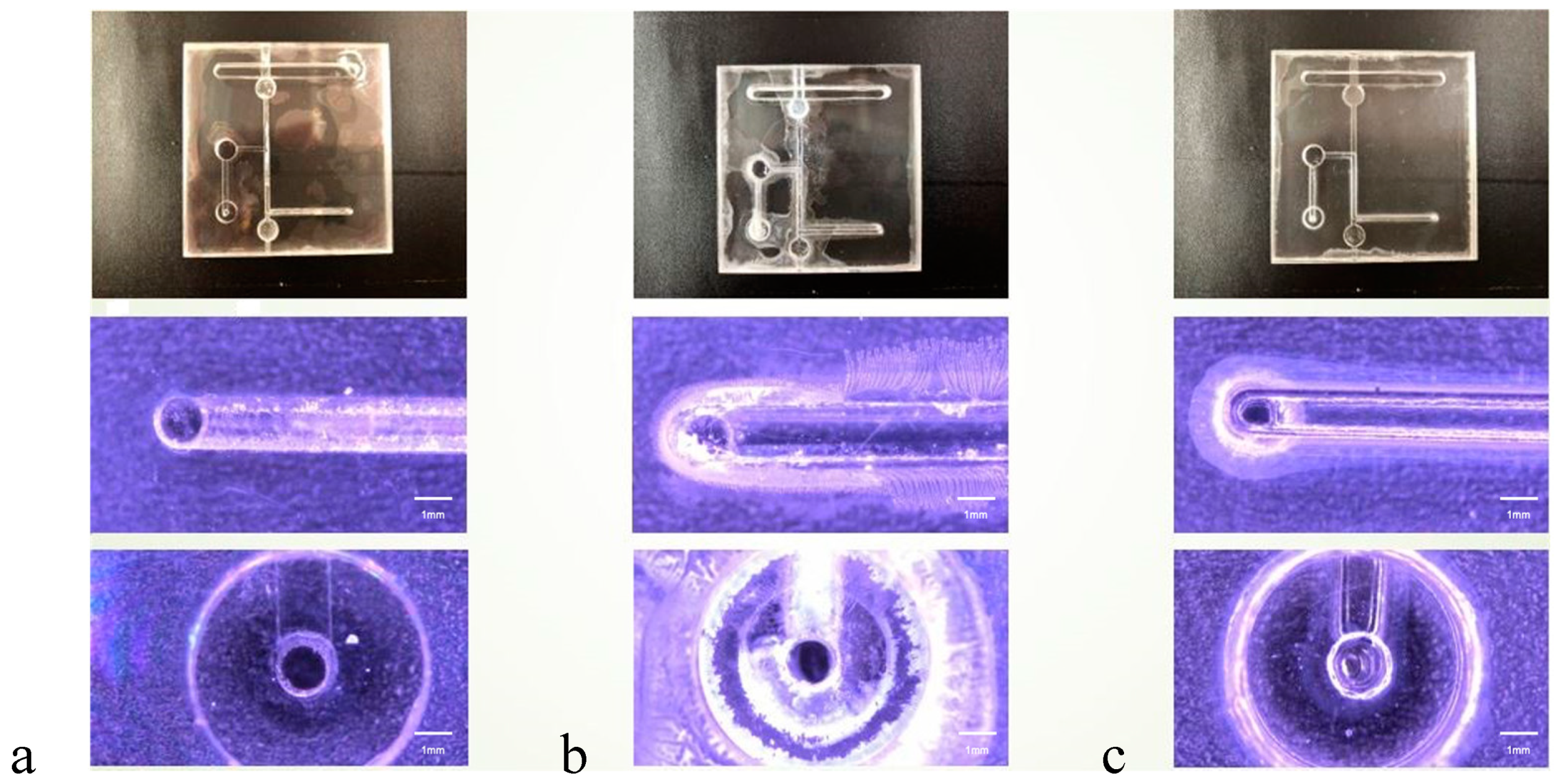 Micromachines 15 00454 g005
