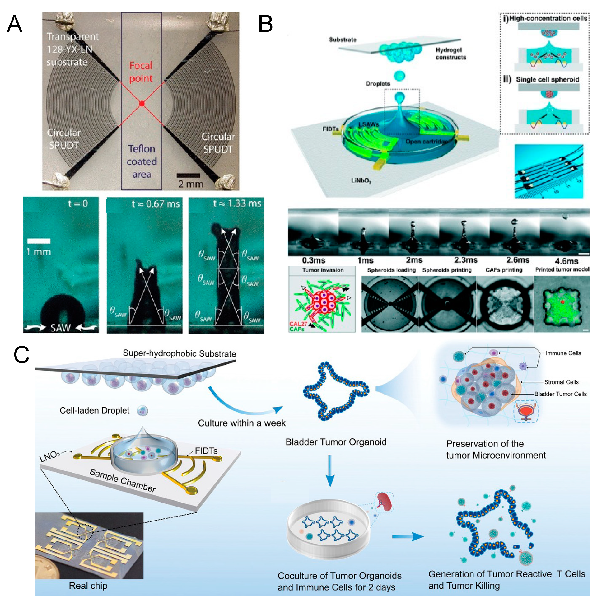 Micromachines 15 00466 g006