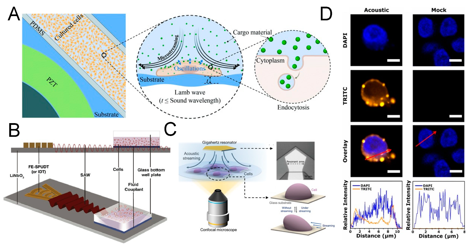Micromachines 15 00466 g007