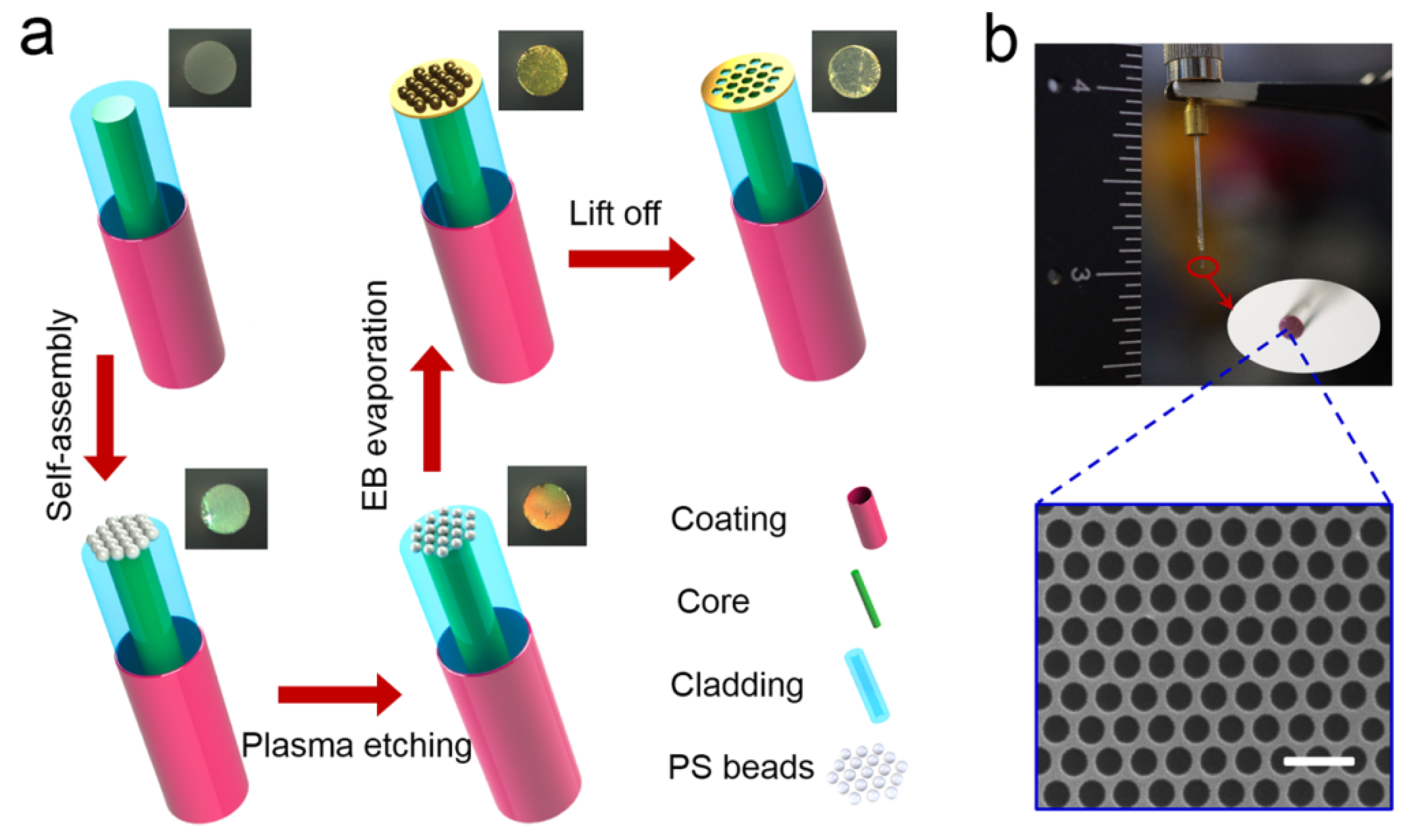 Micromachines 15 00502 g019