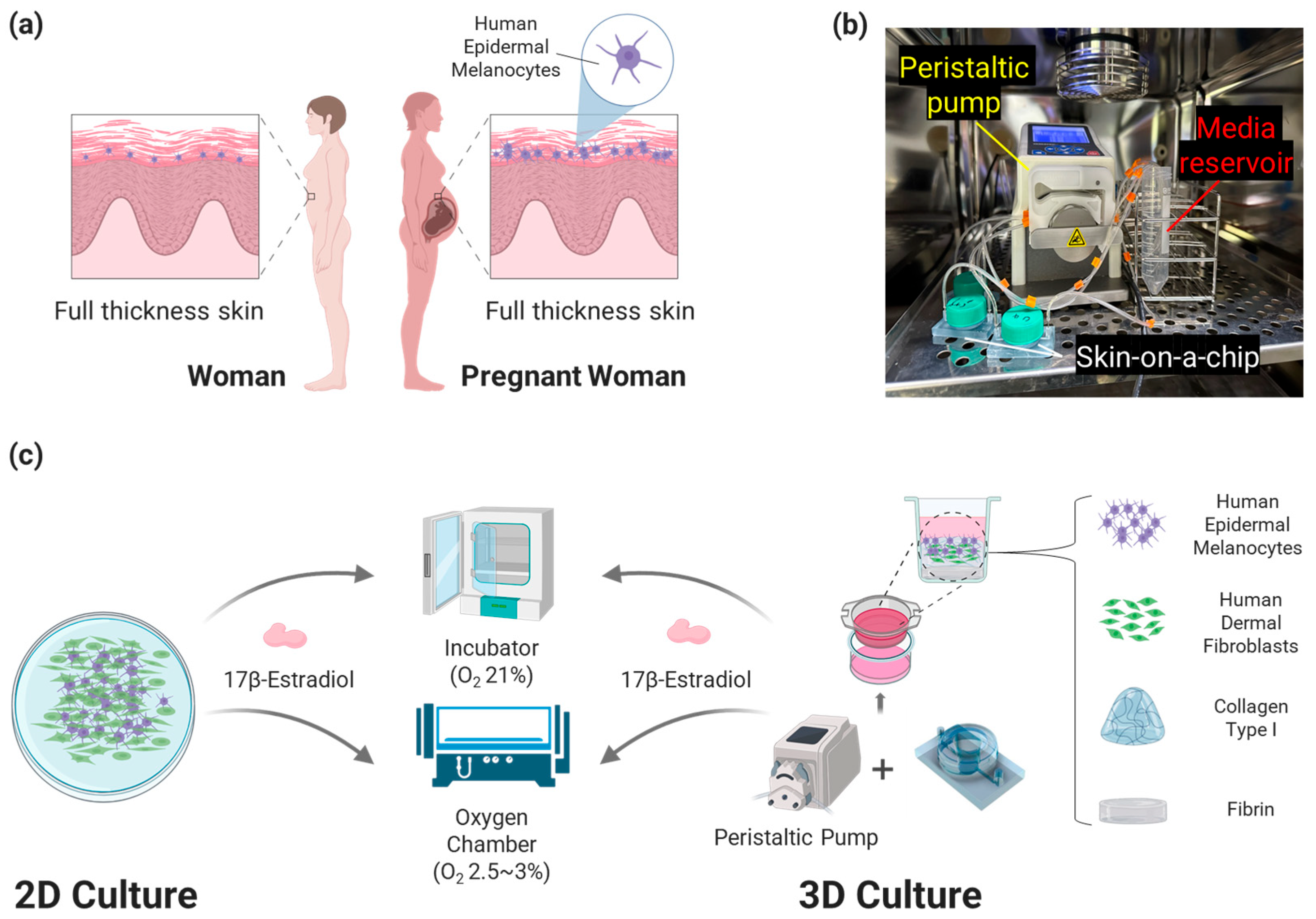 Micromachines 15 00511 g001 Micromachines 15 00511 g001