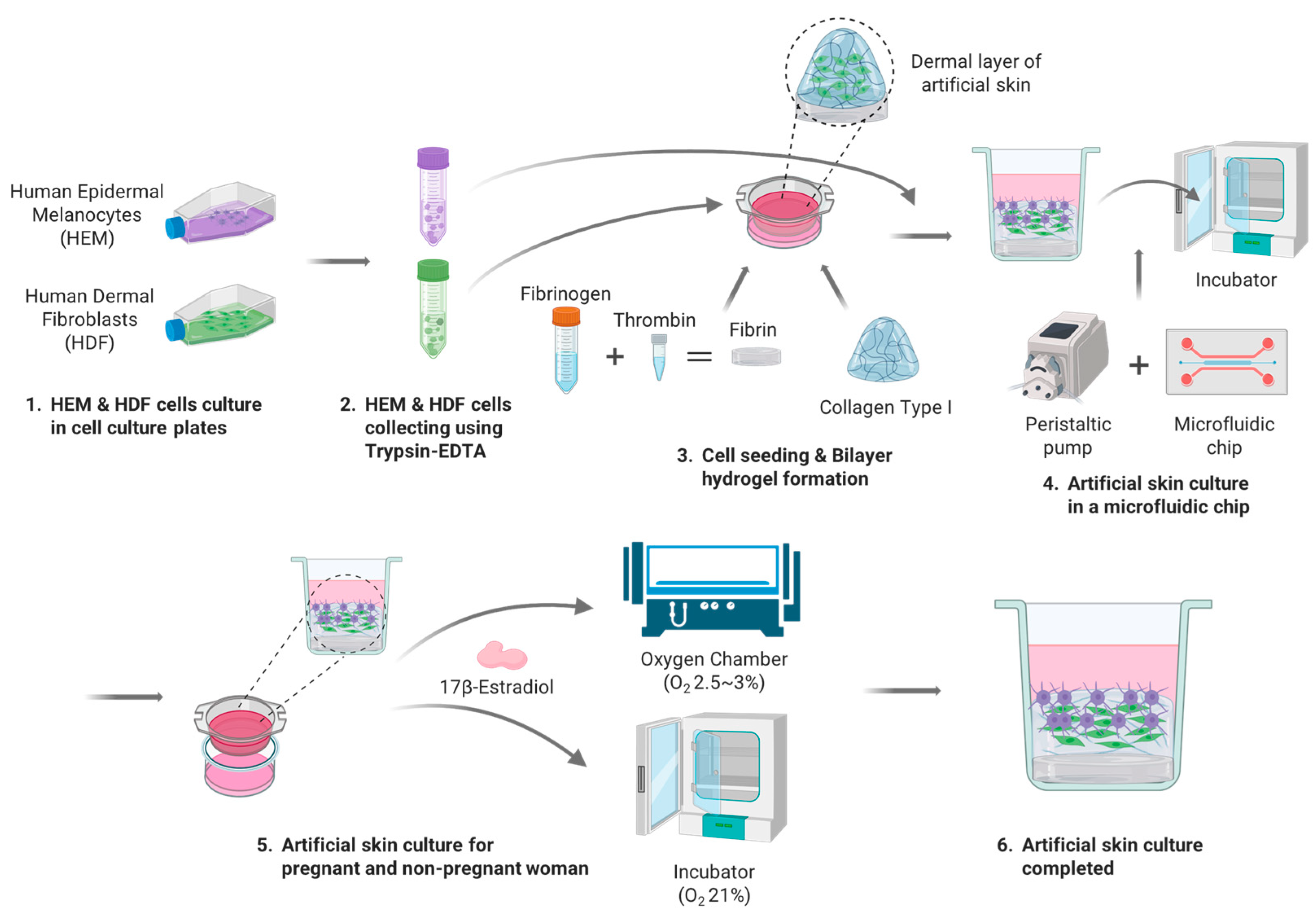 Micromachines 15 00511 g003 Micromachines 15 00511 g003