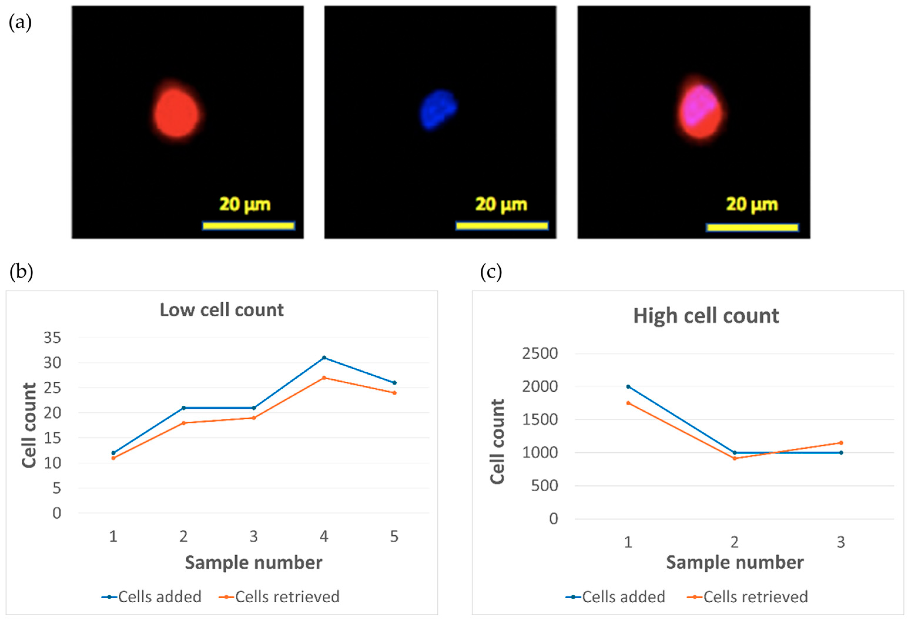 Micromachines 15 00521 g007