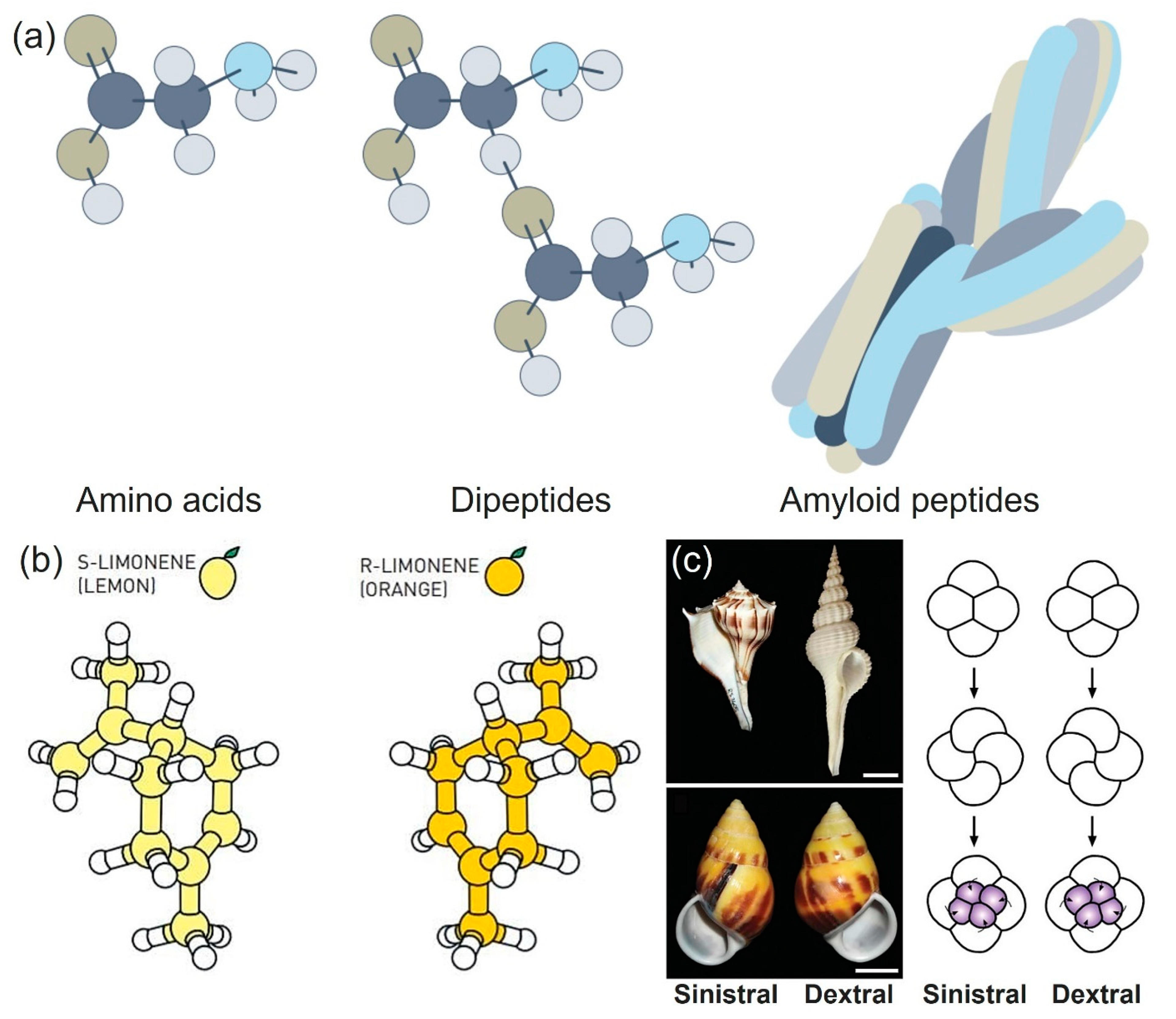 Micromachines 15 00528 g001