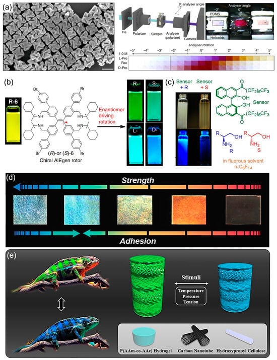Micromachines 15 00528 g006