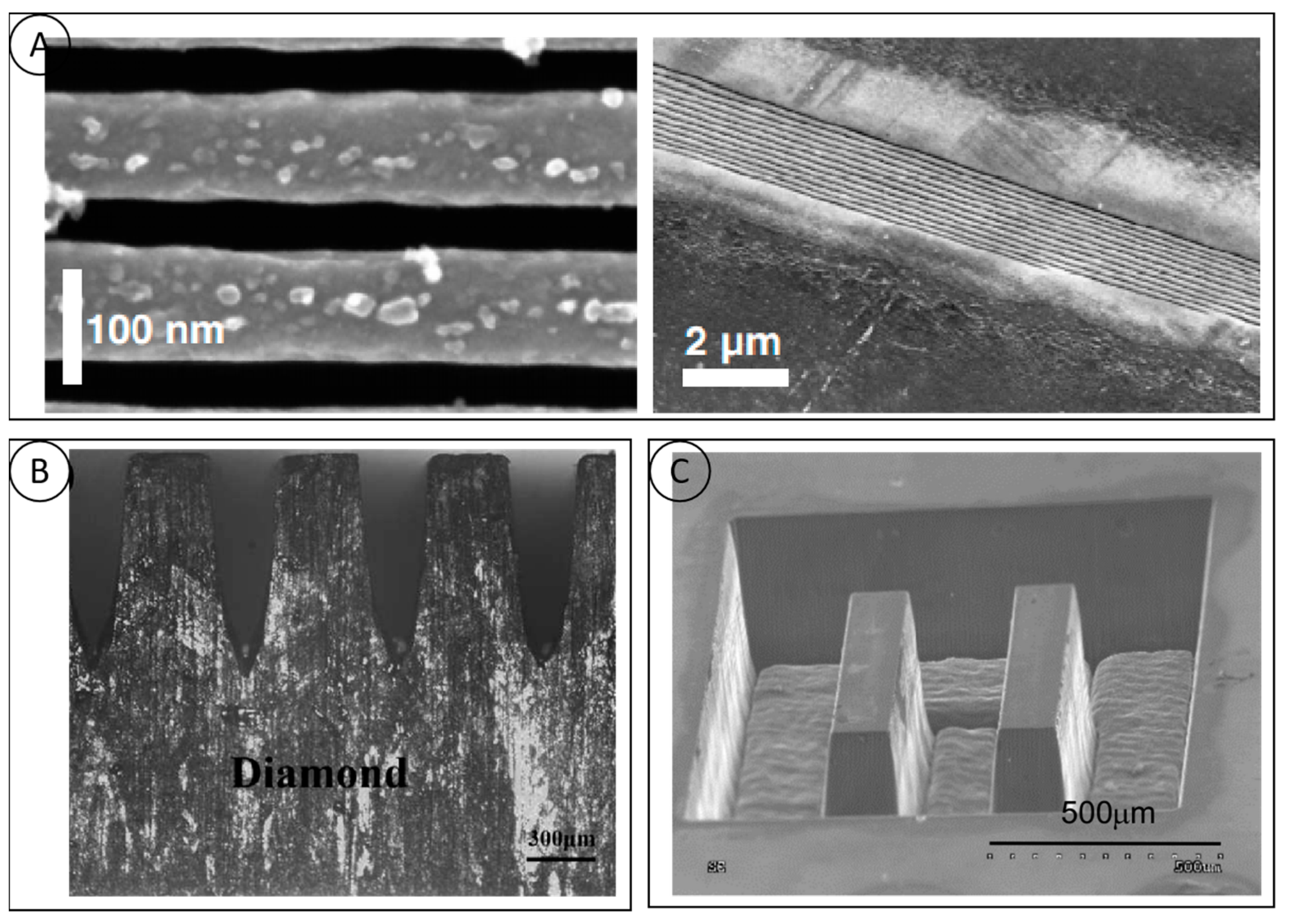 Micromachines 15 00547 g010