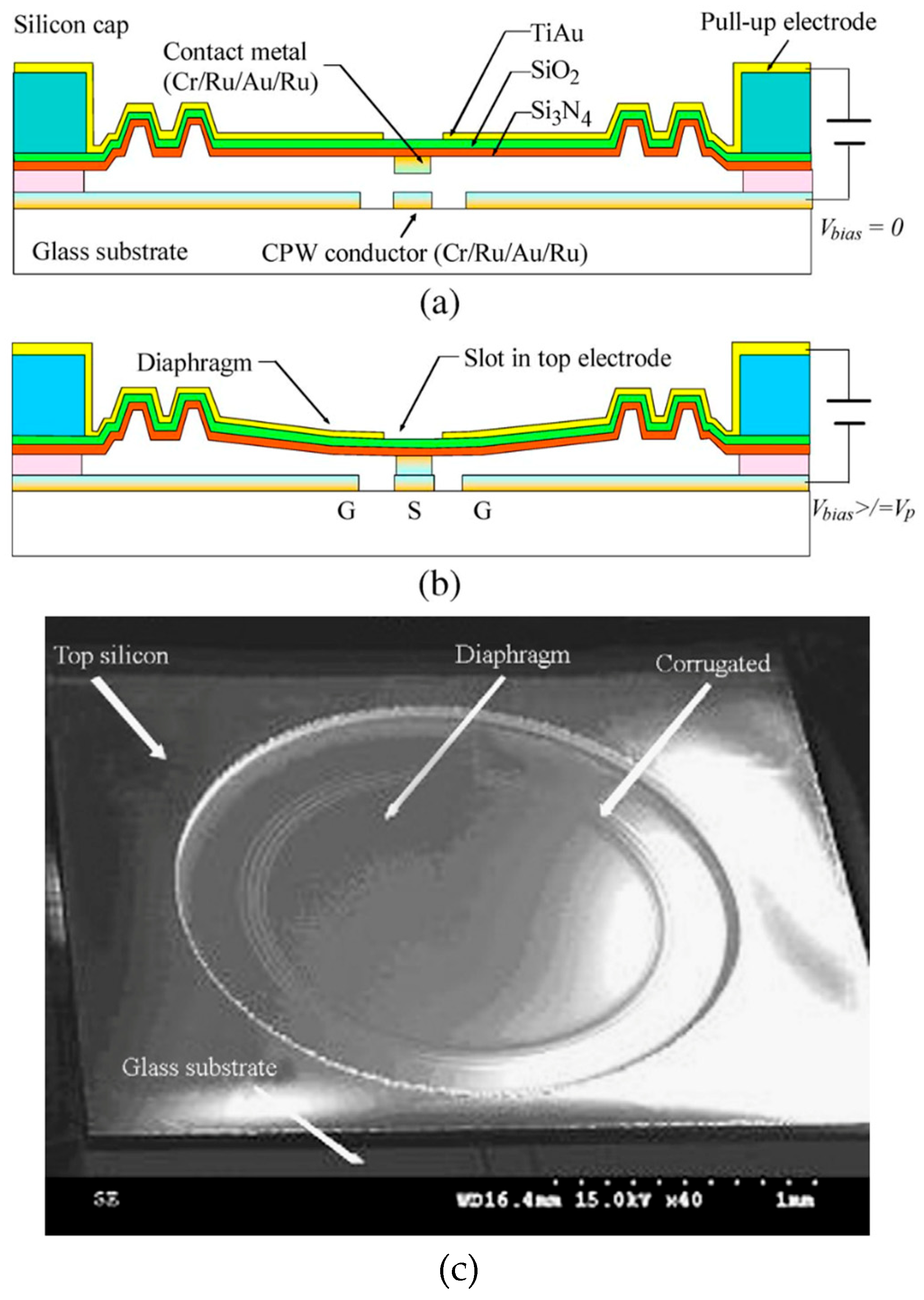 Micromachines 15 00556 g004