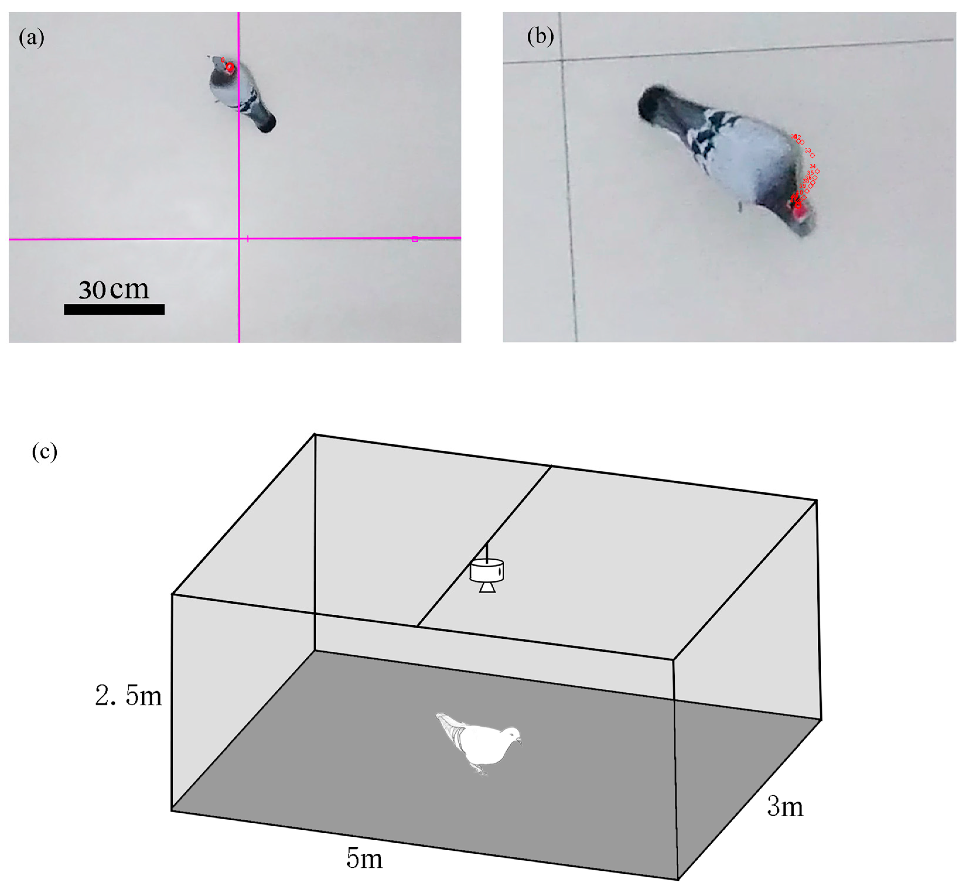 Micromachines 15 00595 g003 Micromachines 15 00595 g003