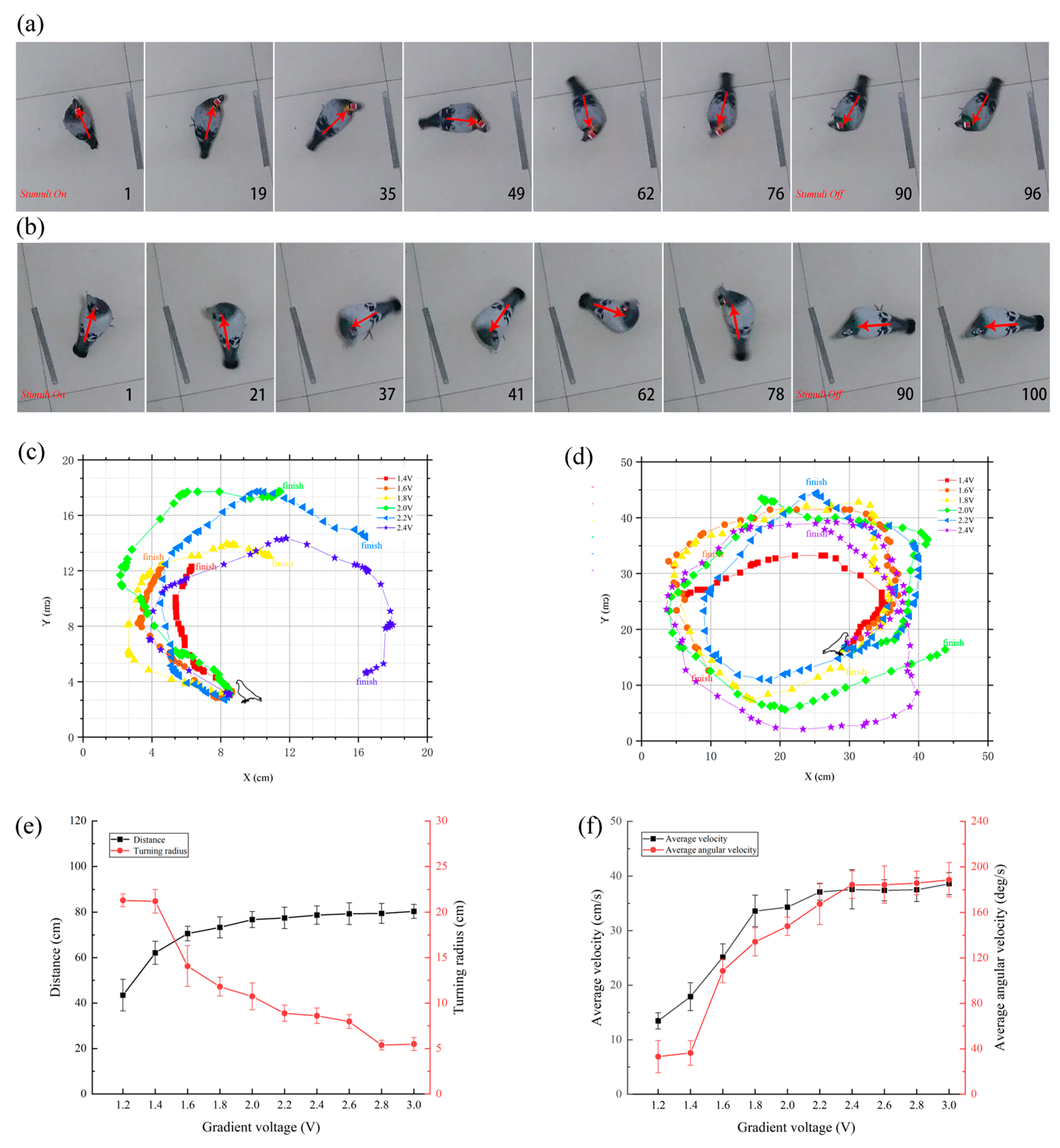 Micromachines 15 00595 g005 Micromachines 15 00595 g005