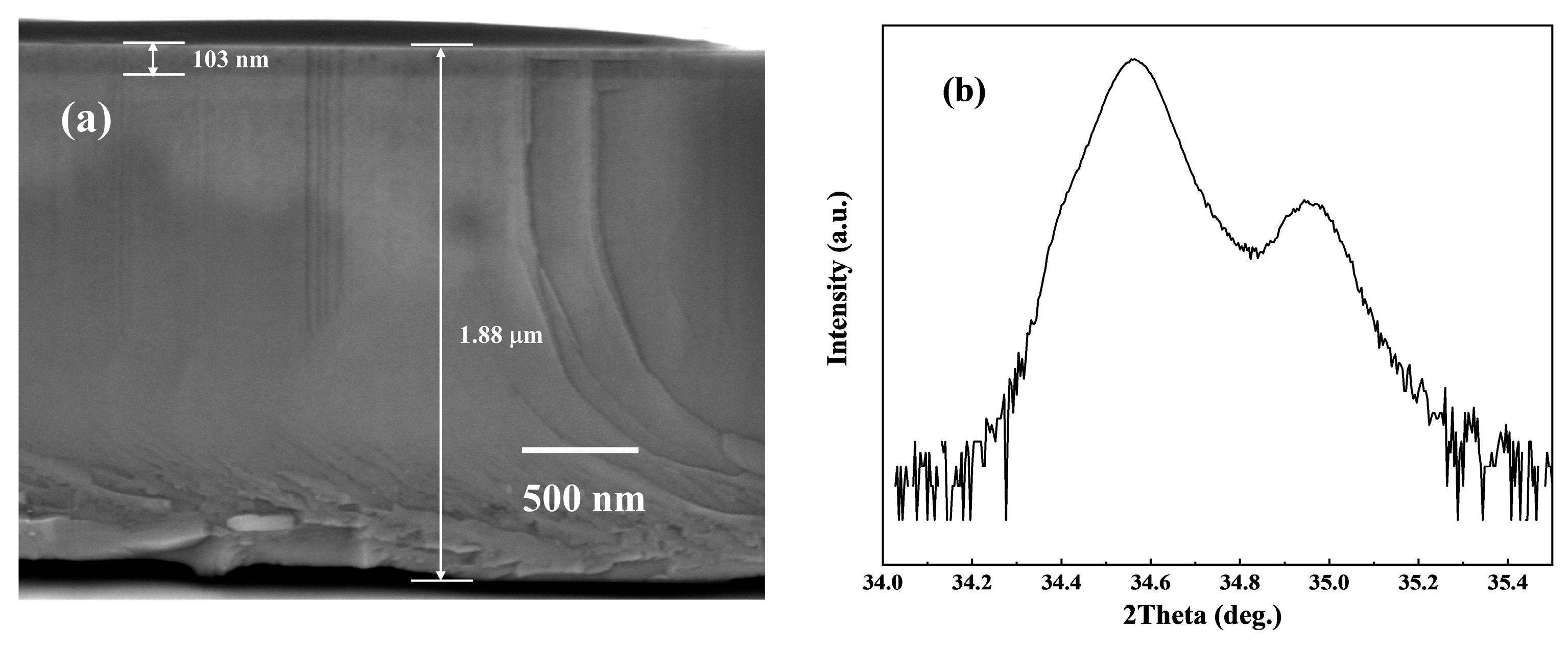 Micromachines 15 00596 g006