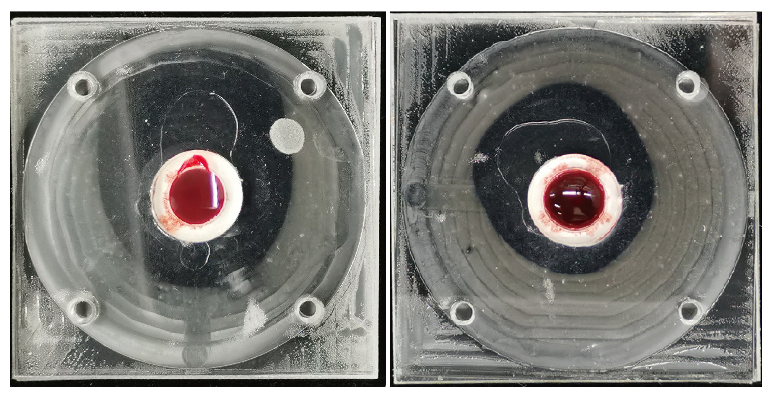 Micromachines 15 00619 g003