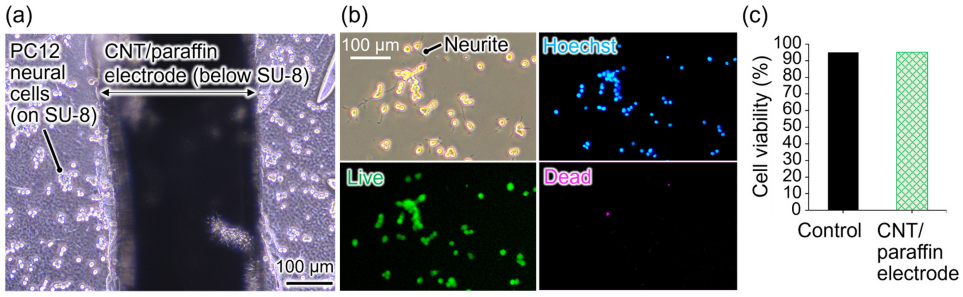 Micromachines 15 00650 g003