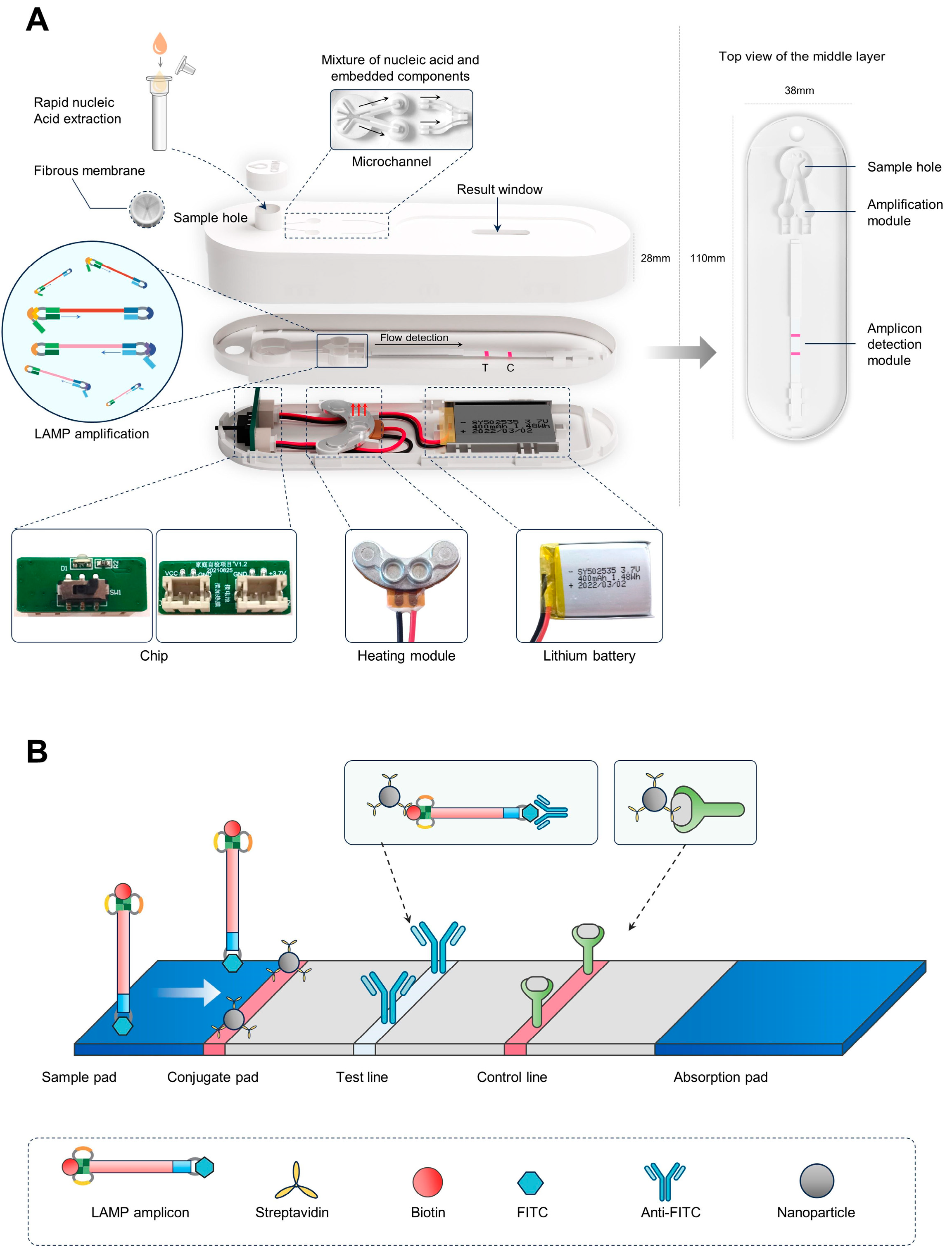 Micromachines 15 00663 g001 Micromachines 15 00663 g001