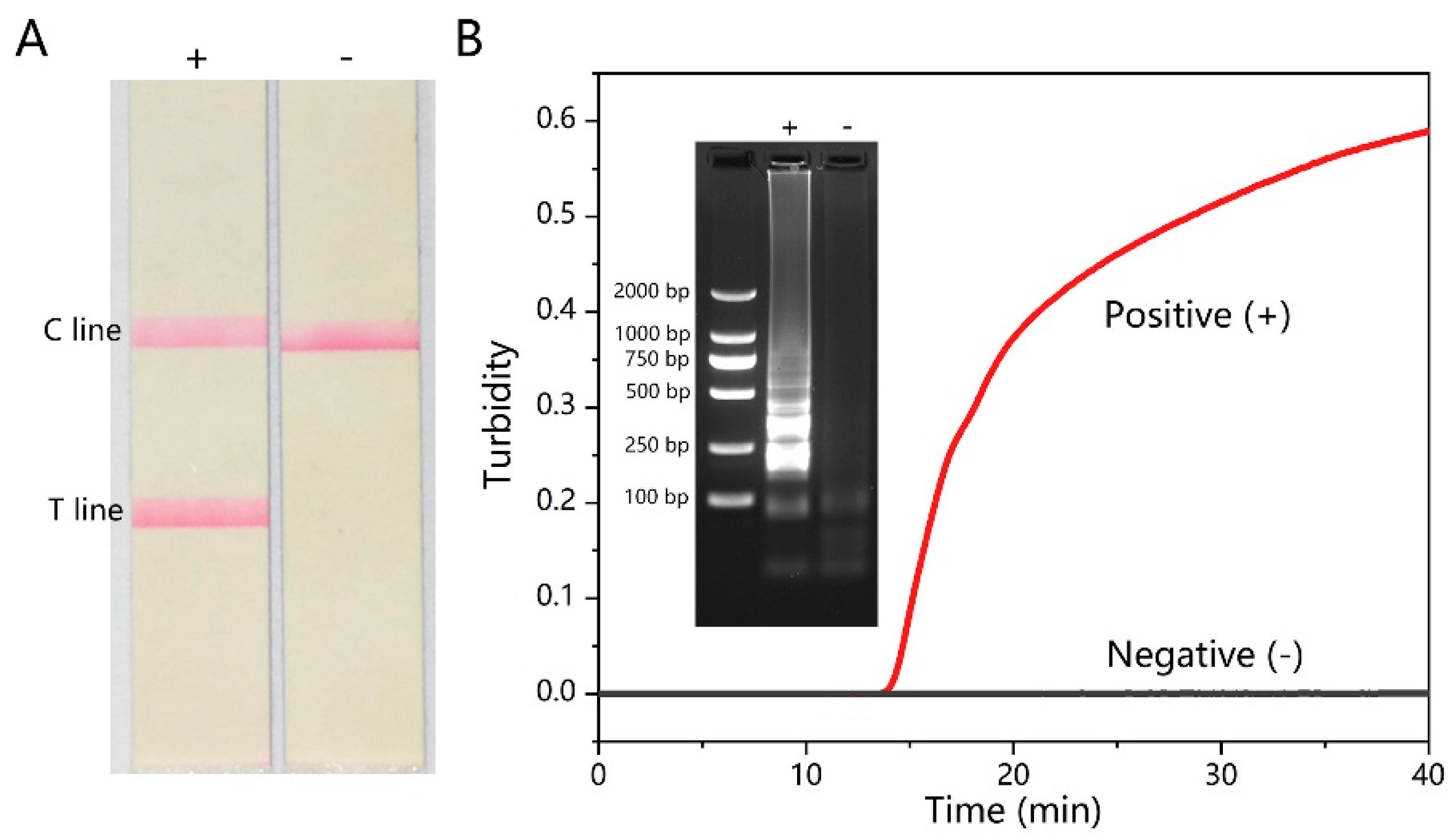 Micromachines 15 00663 g002 Micromachines 15 00663 g002
