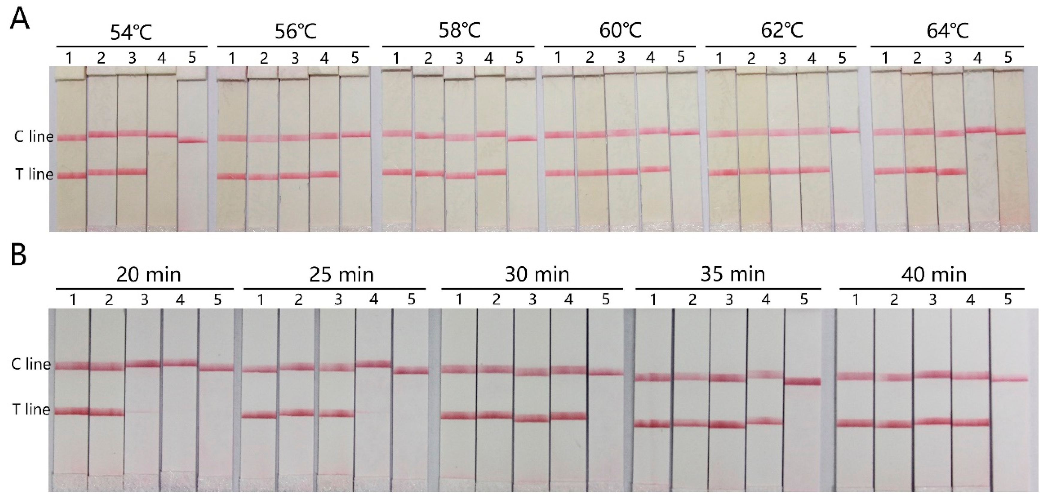 Micromachines 15 00663 g003 Micromachines 15 00663 g003
