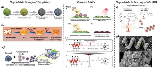 Micromachines 15 00664 g005