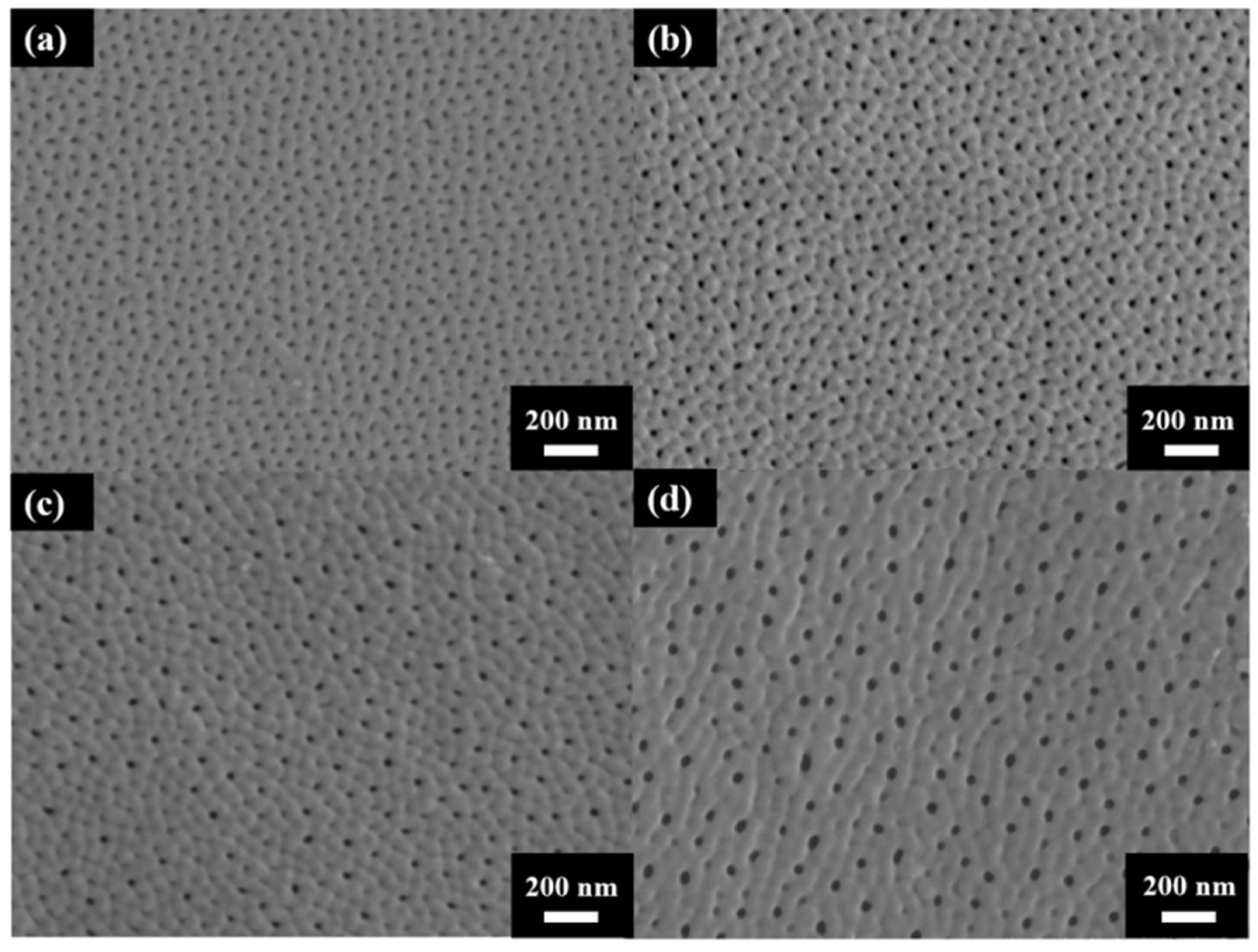 Micromachines 15 00683 g003