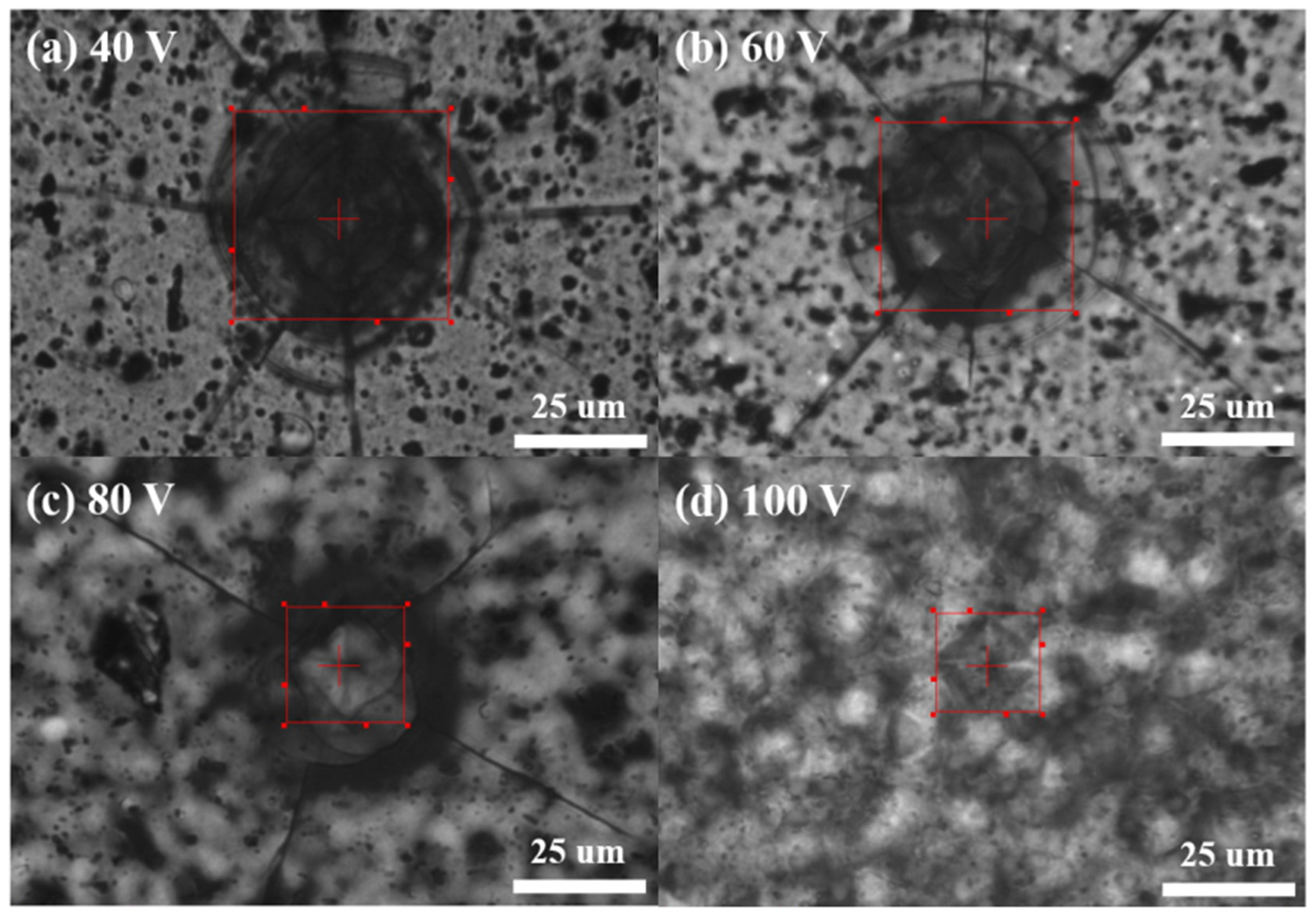Micromachines 15 00683 g006
