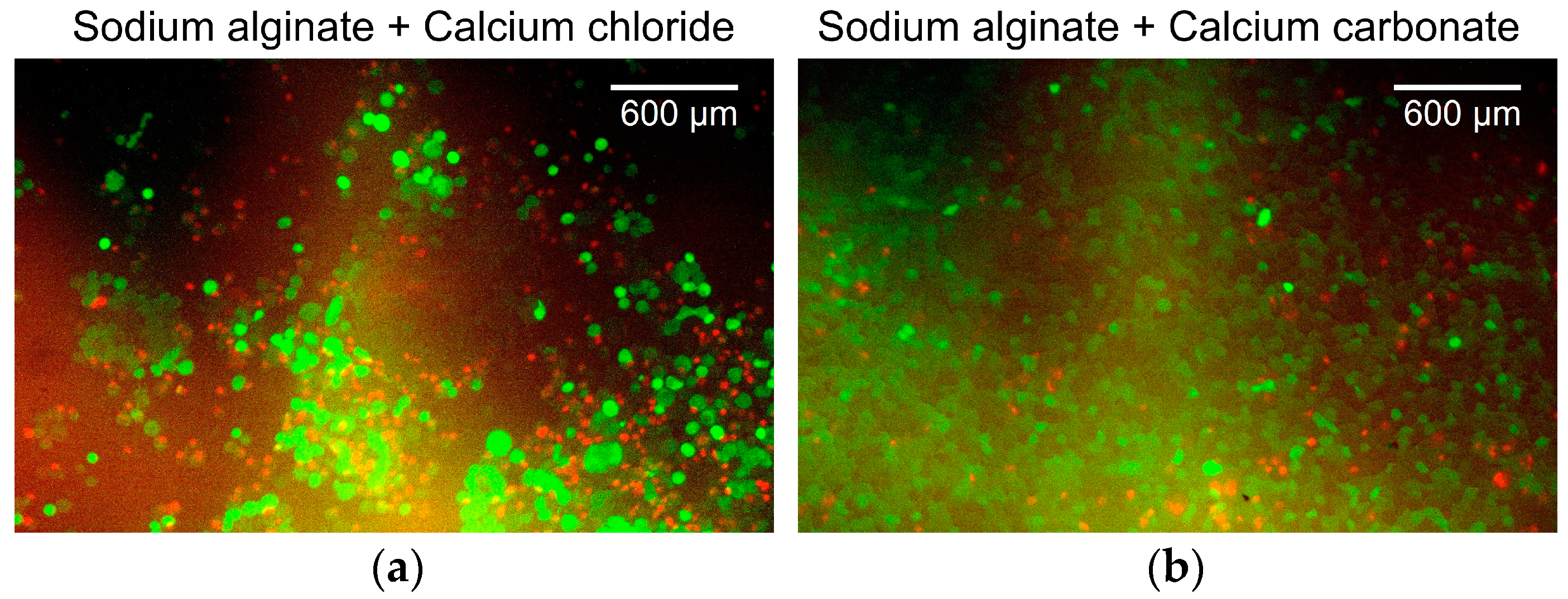 Micromachines 15 00689 g006