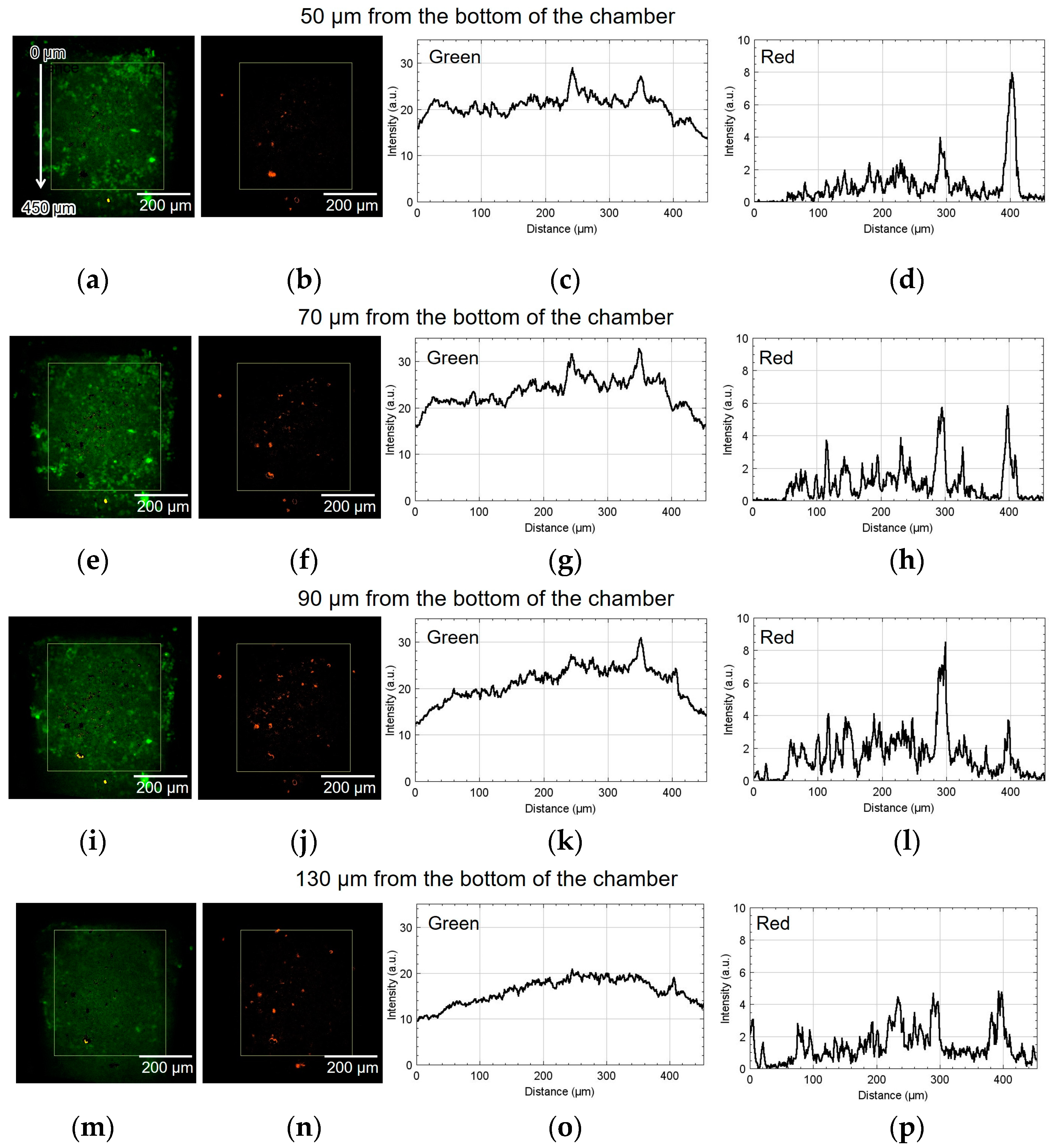 Micromachines 15 00689 g008