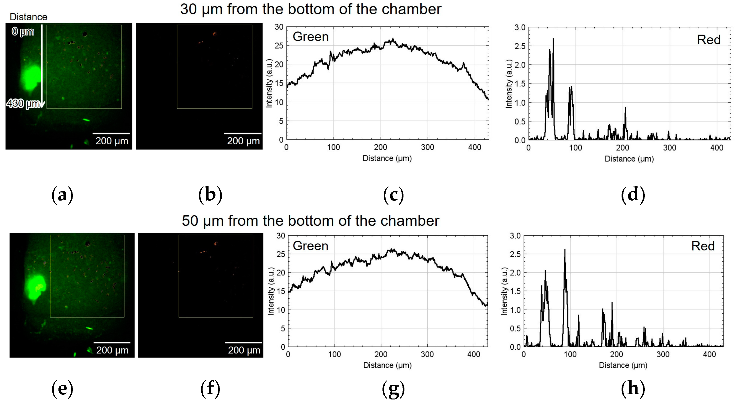 Micromachines 15 00689 g009a