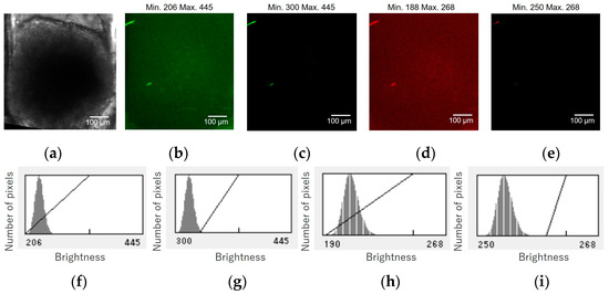 Micromachines 15 00689 g0a1