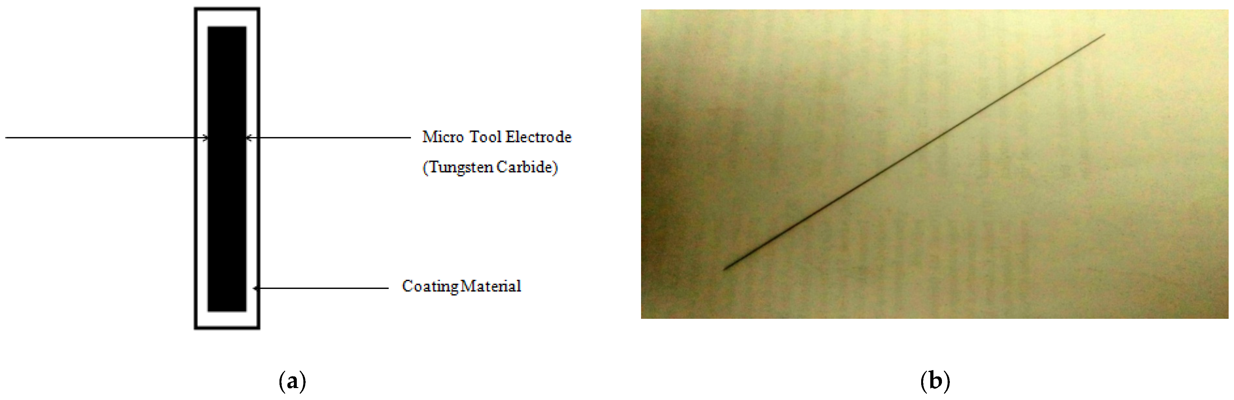 Micromachines 15 00692 g001