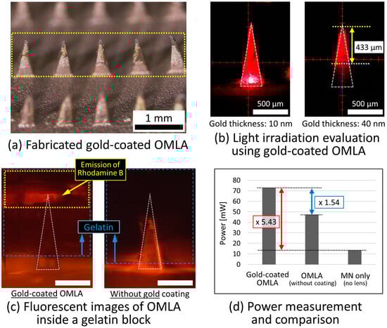 Micromachines 15 00725 g007