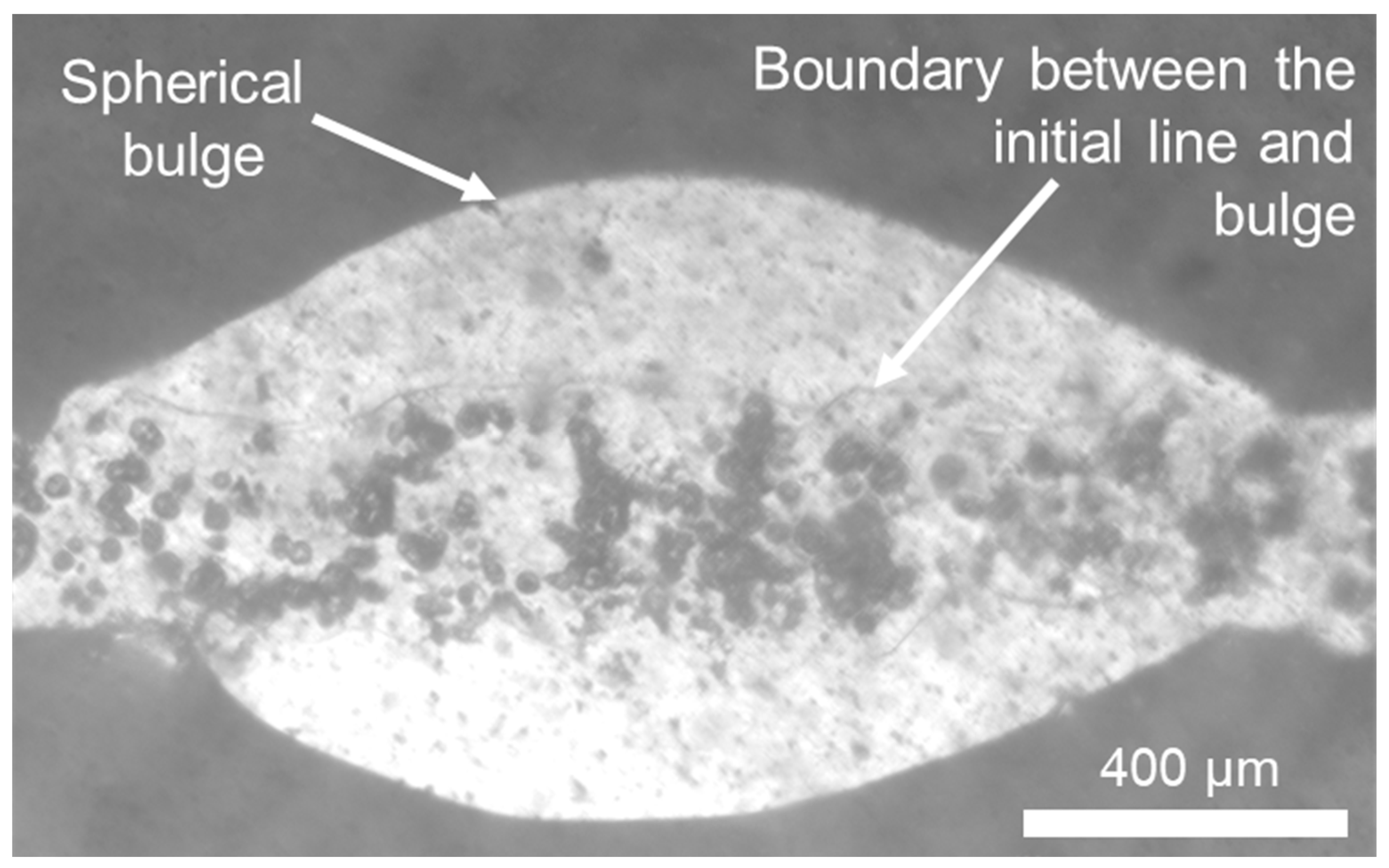Micromachines 15 00743 g004