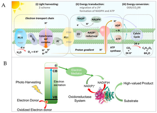 Micromachines 15 00789 g002